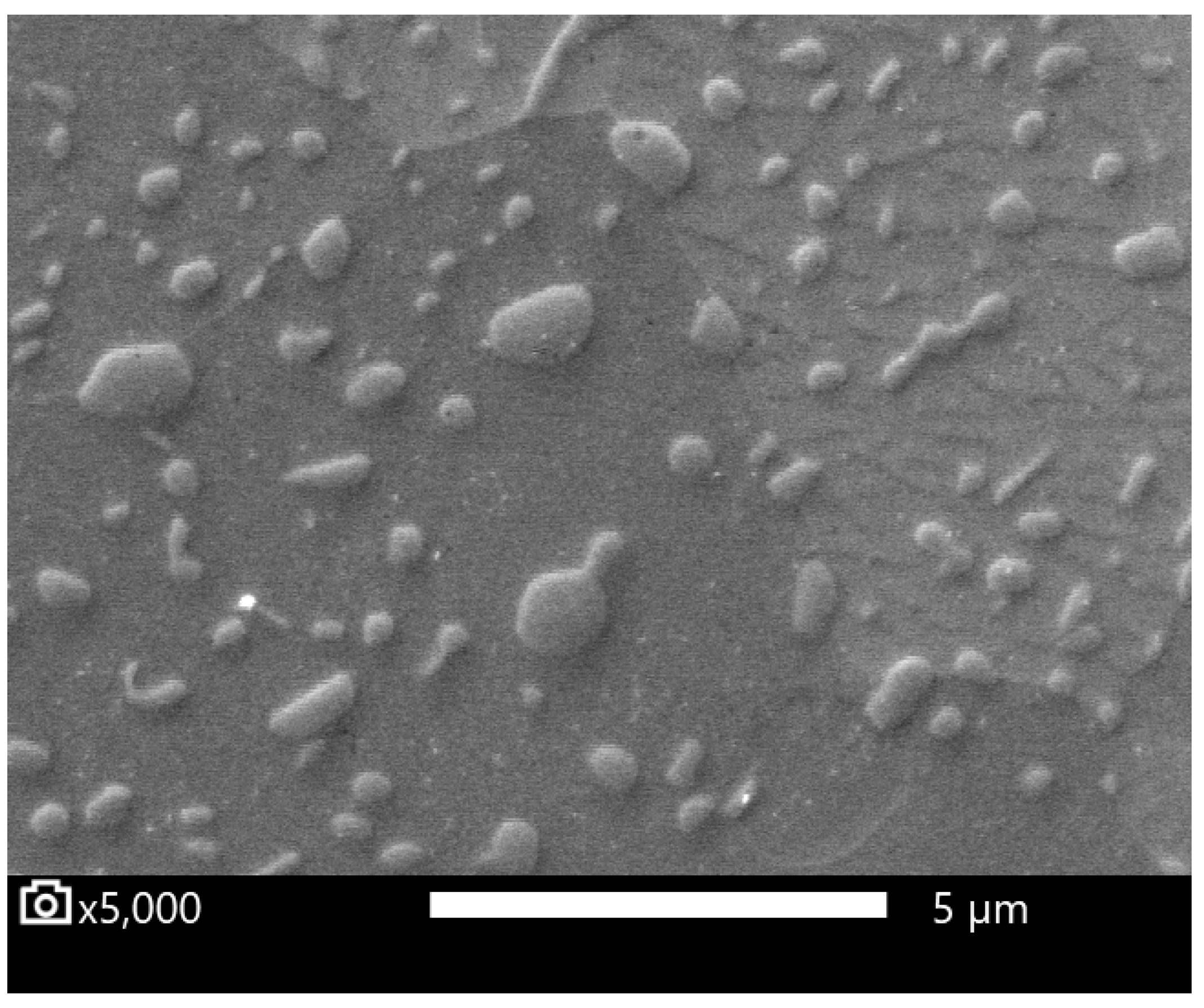 Materials 16 03523 g006