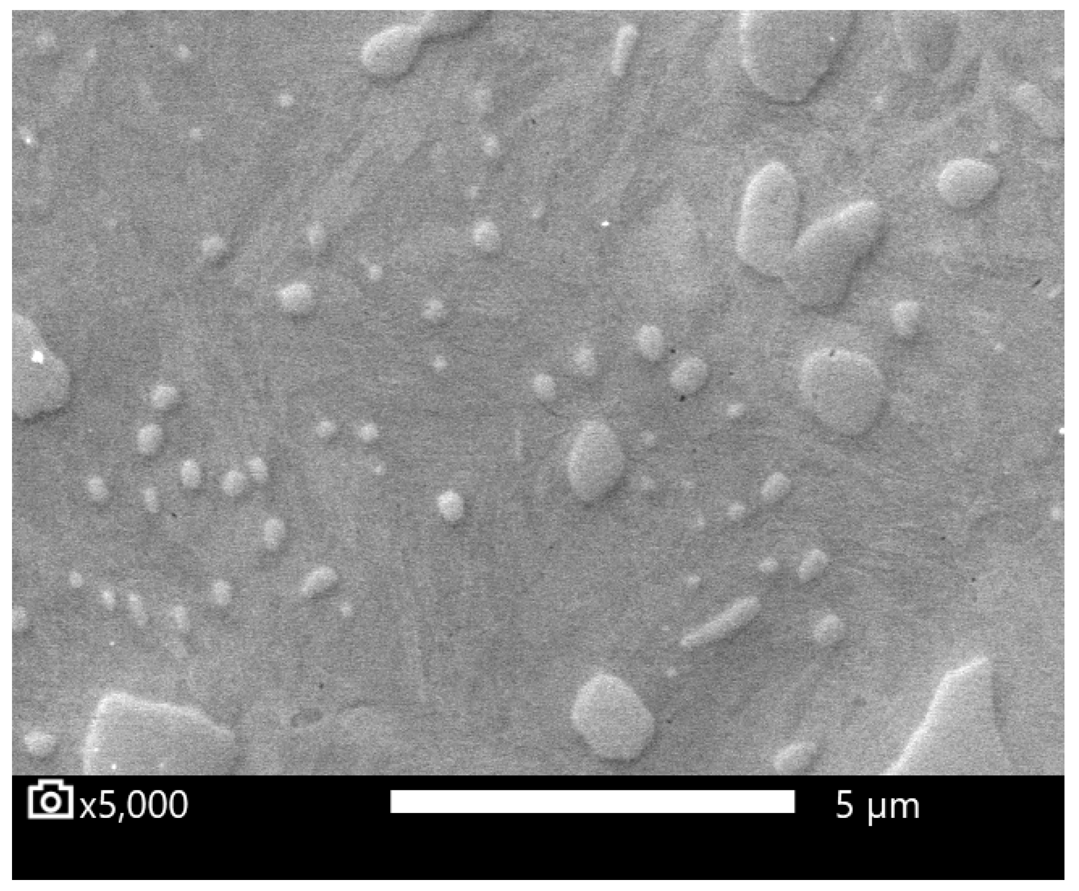 Materials 16 03523 g007