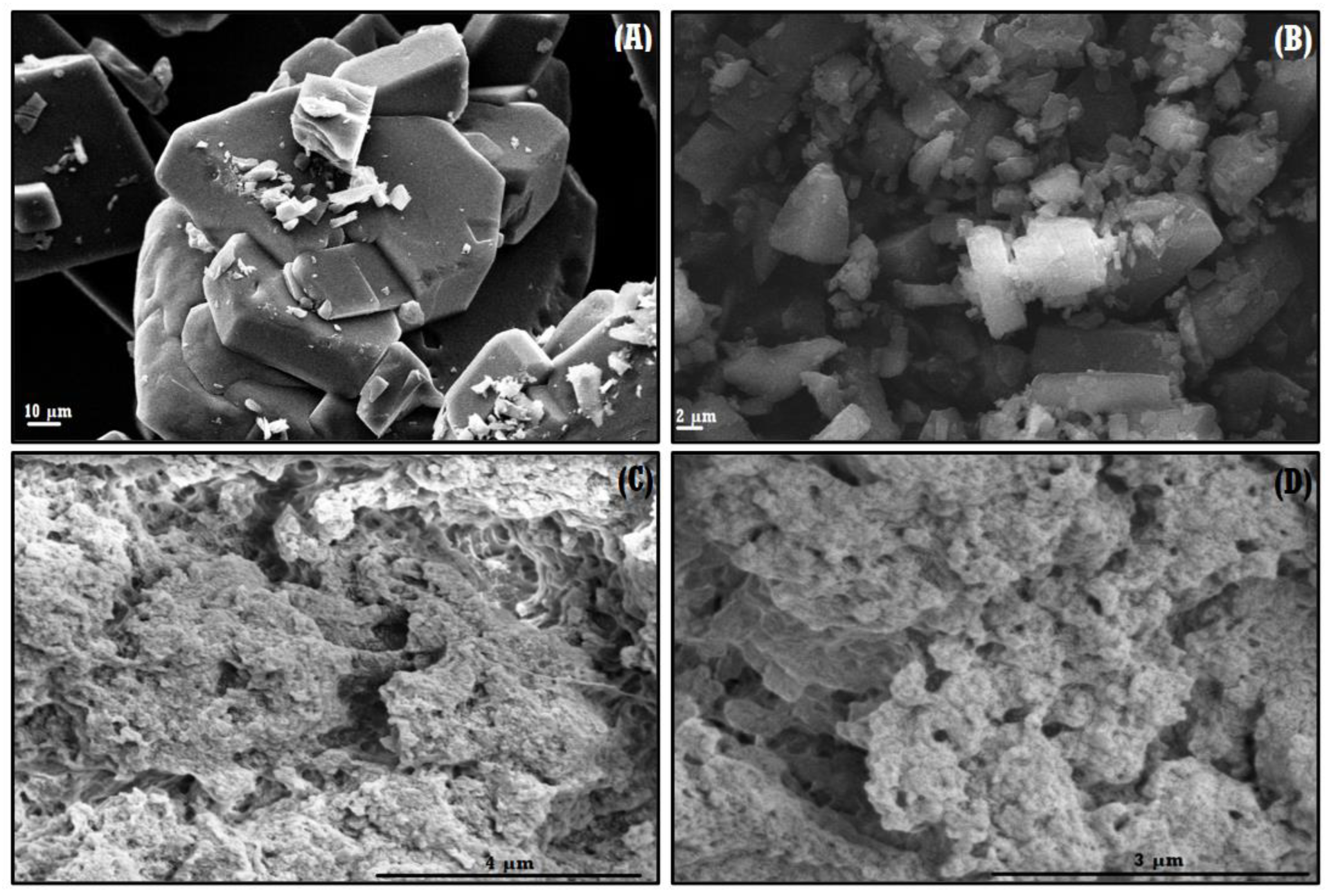 Materials 16 03538 g003 Materials 16 03538 g003