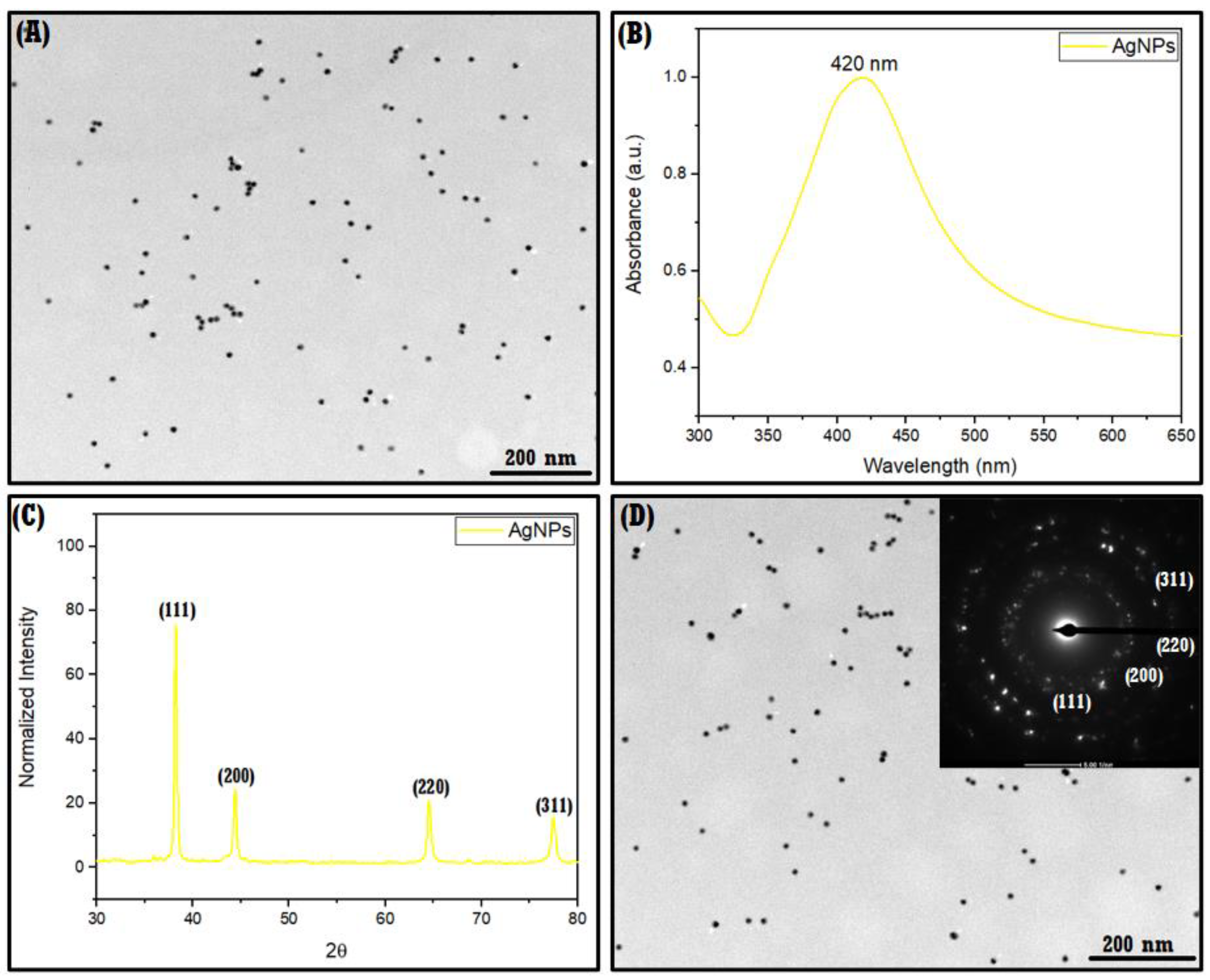 Materials 16 03538 g007 Materials 16 03538 g007