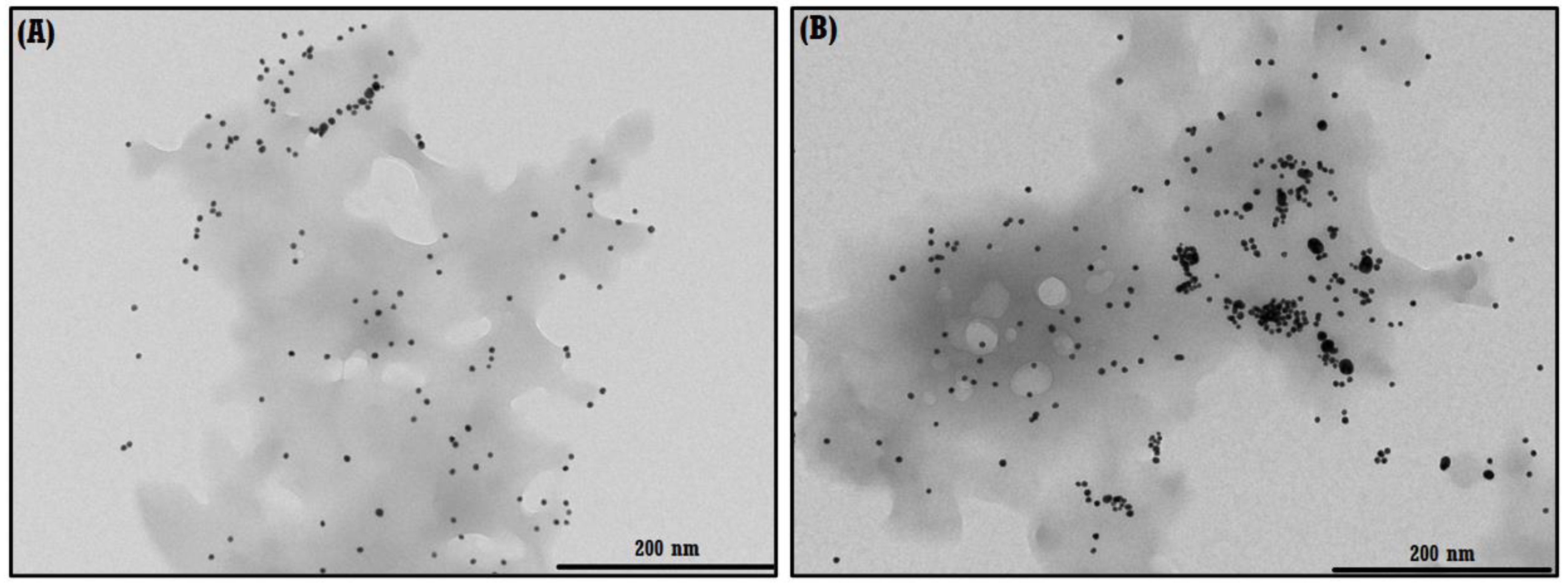 Materials 16 03538 g008 Materials 16 03538 g008