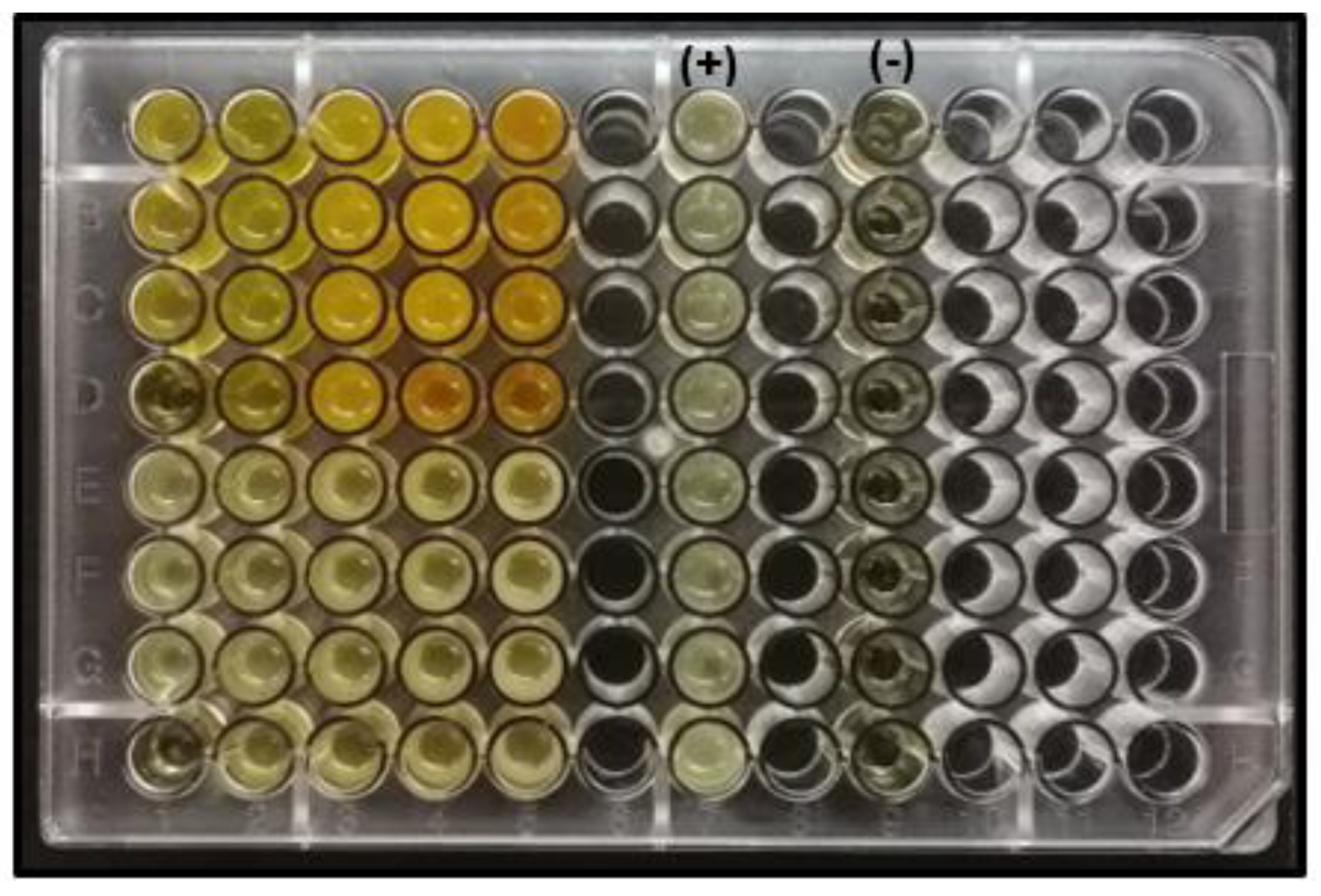 Materials 16 03538 g0a5 Materials 16 03538 g0a5