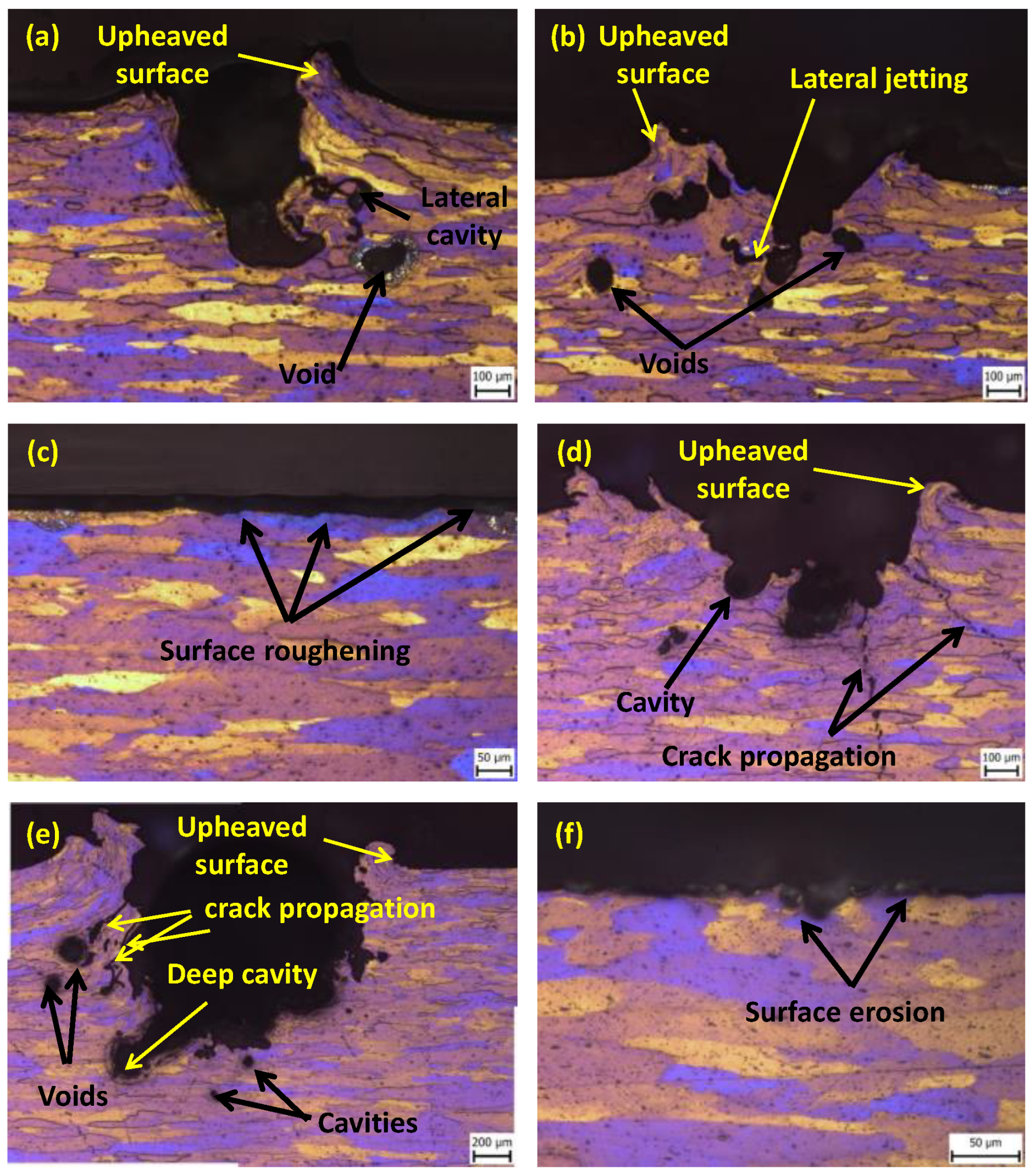 Materials 16 03558 g004