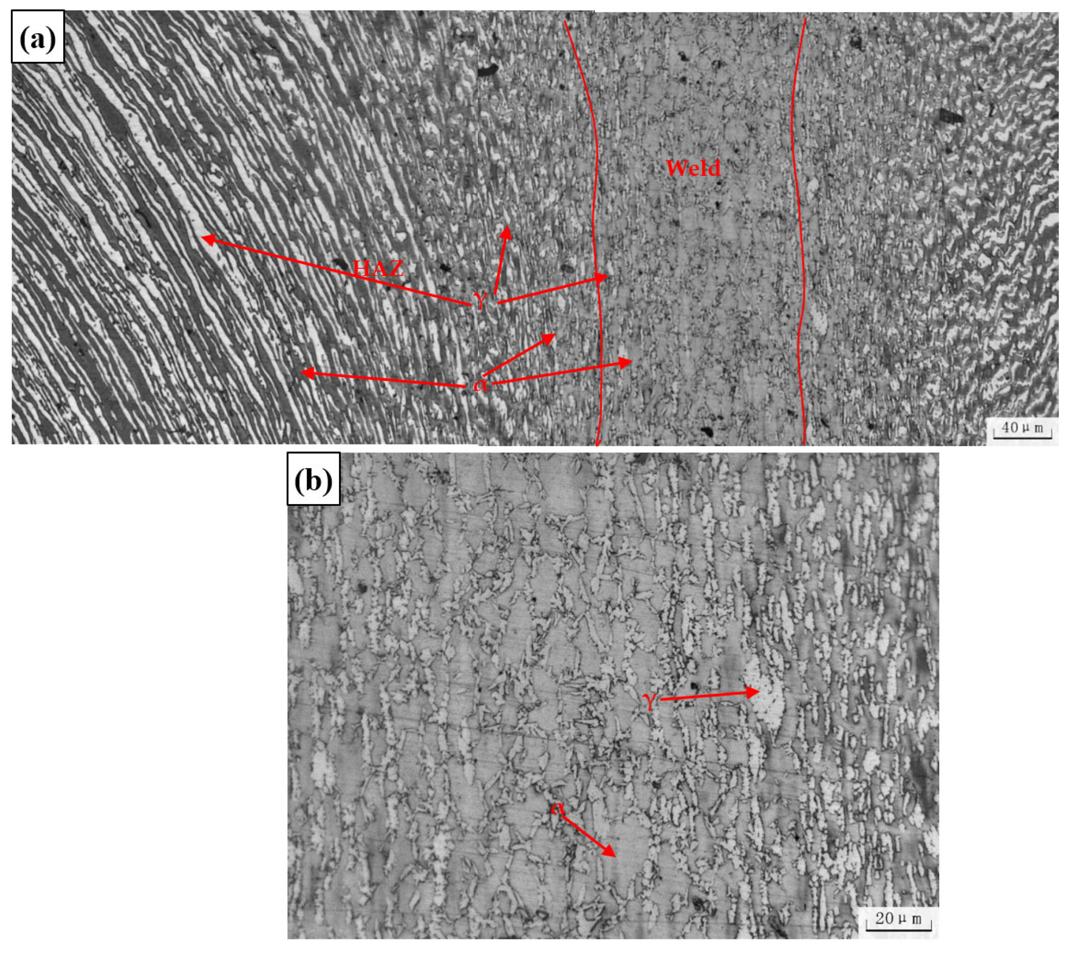 Materials 16 03569 g007 550