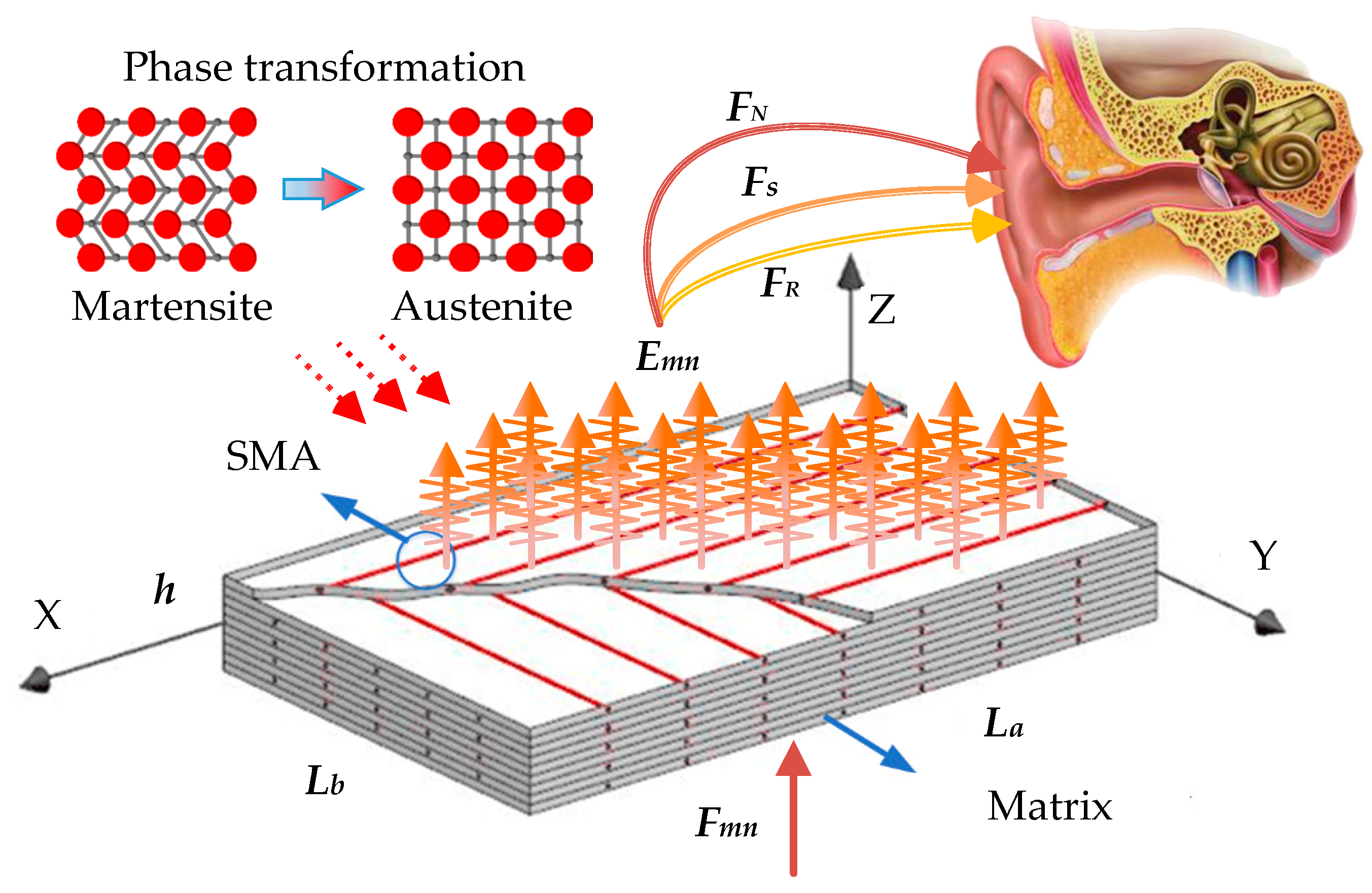 Materials 16 03570 g001