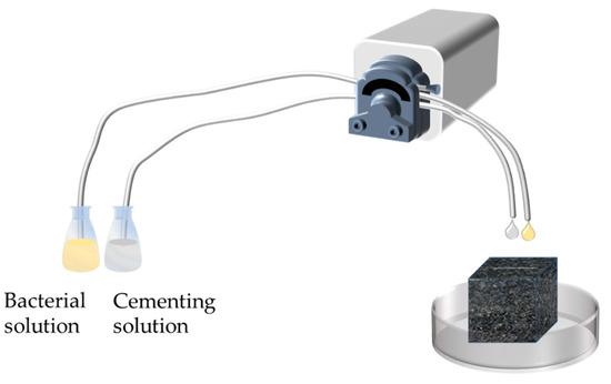 Experimental Investigation on the Influence of Crack Width