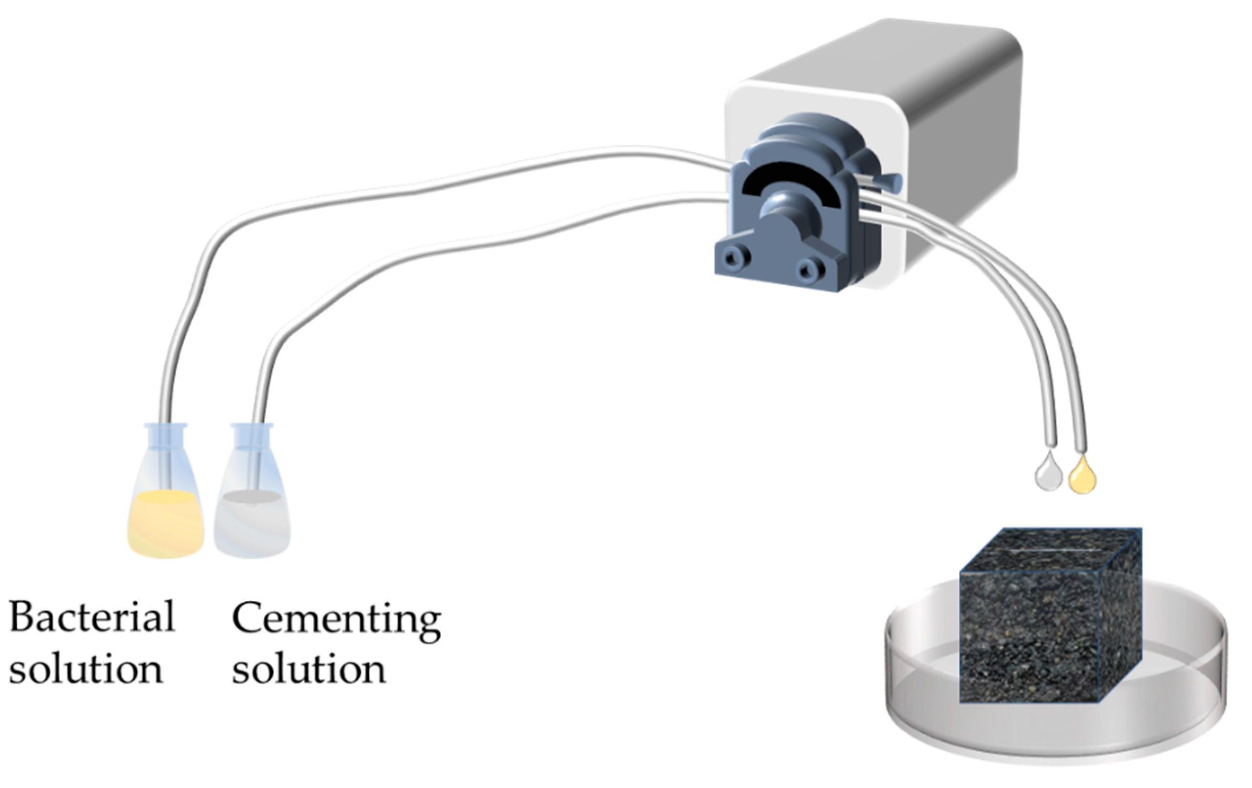Experimental Investigation on the Influence of Crack Width
