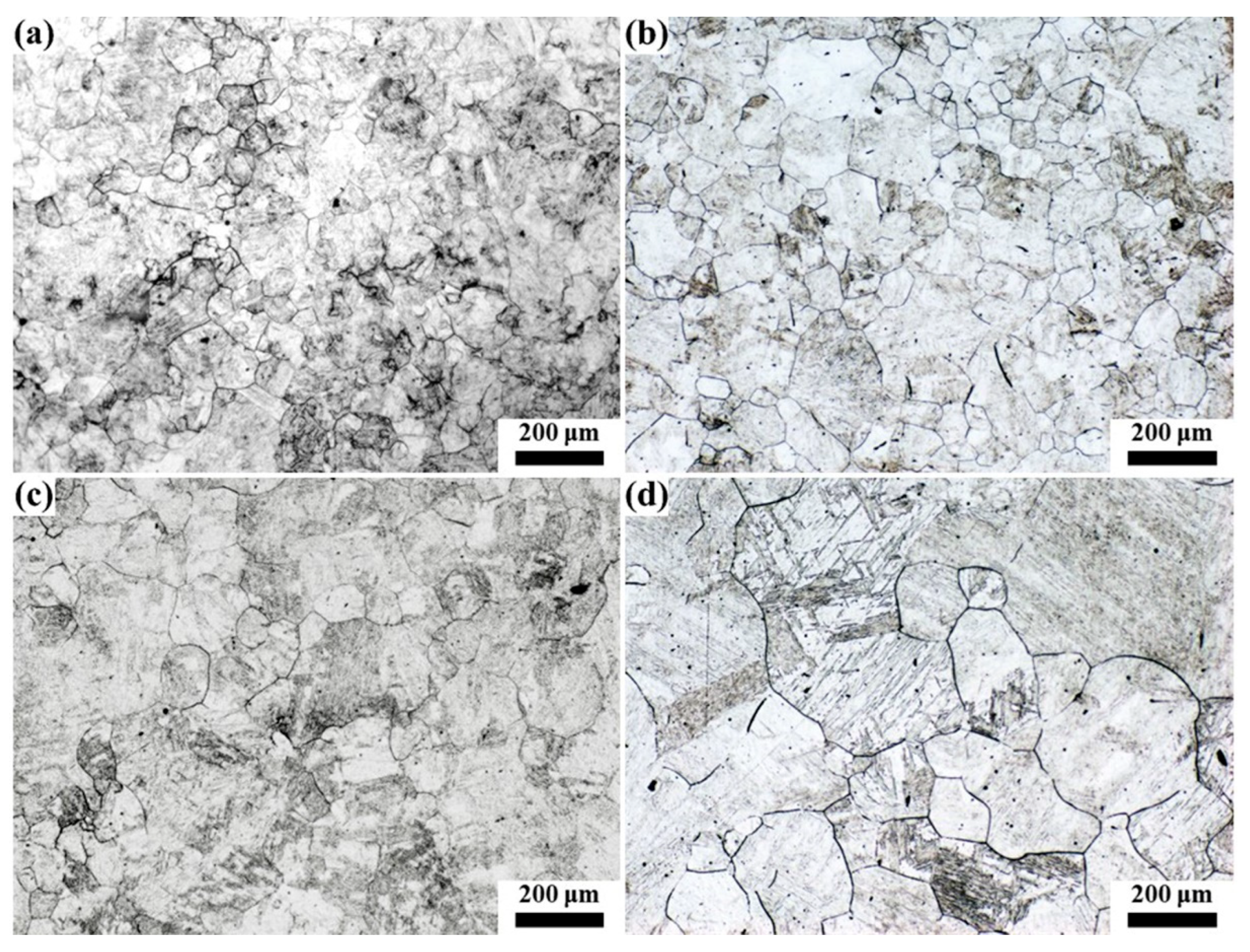 Materials 16 03578 g010 Materials 16 03578 g010