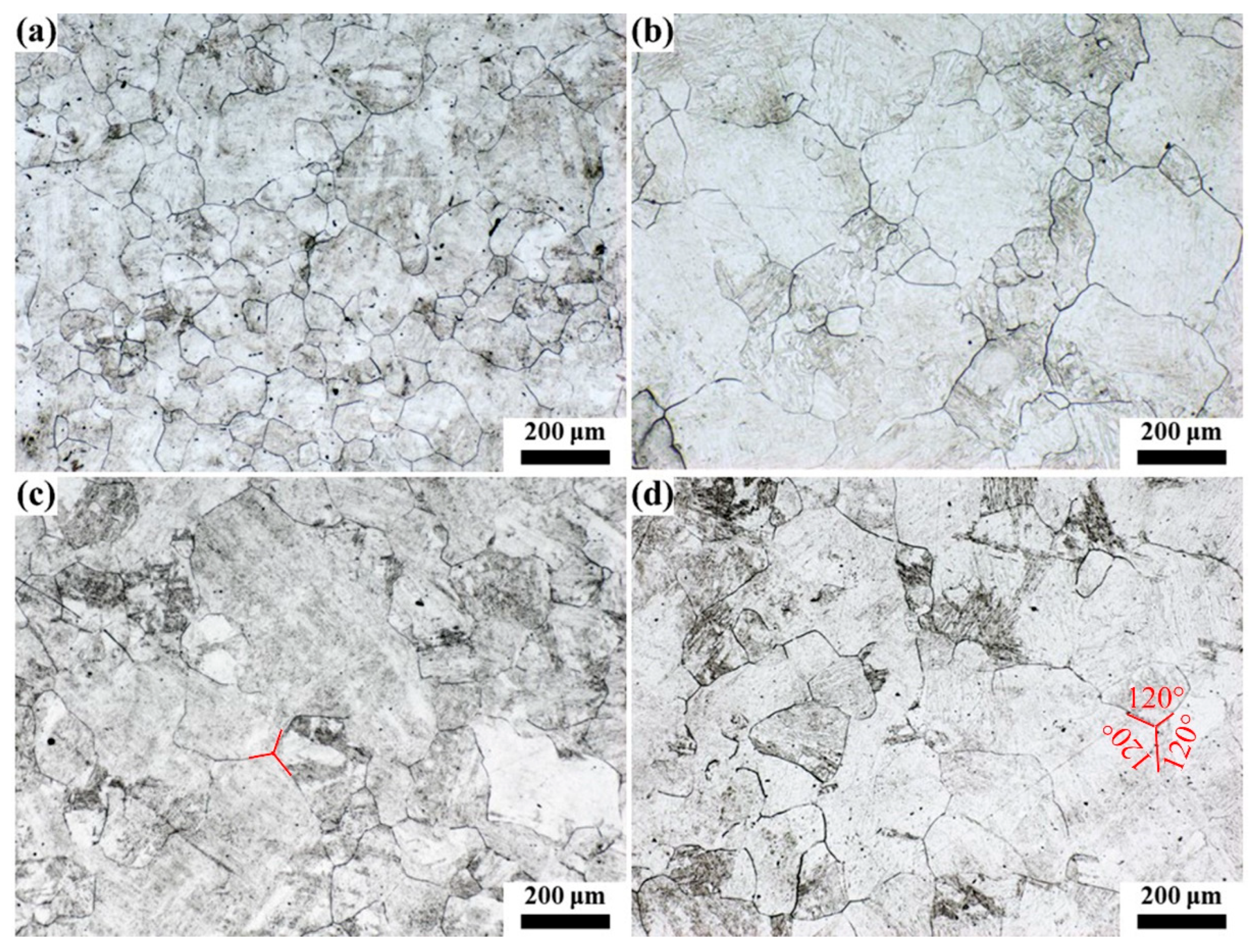 Materials 16 03578 g011 Materials 16 03578 g011