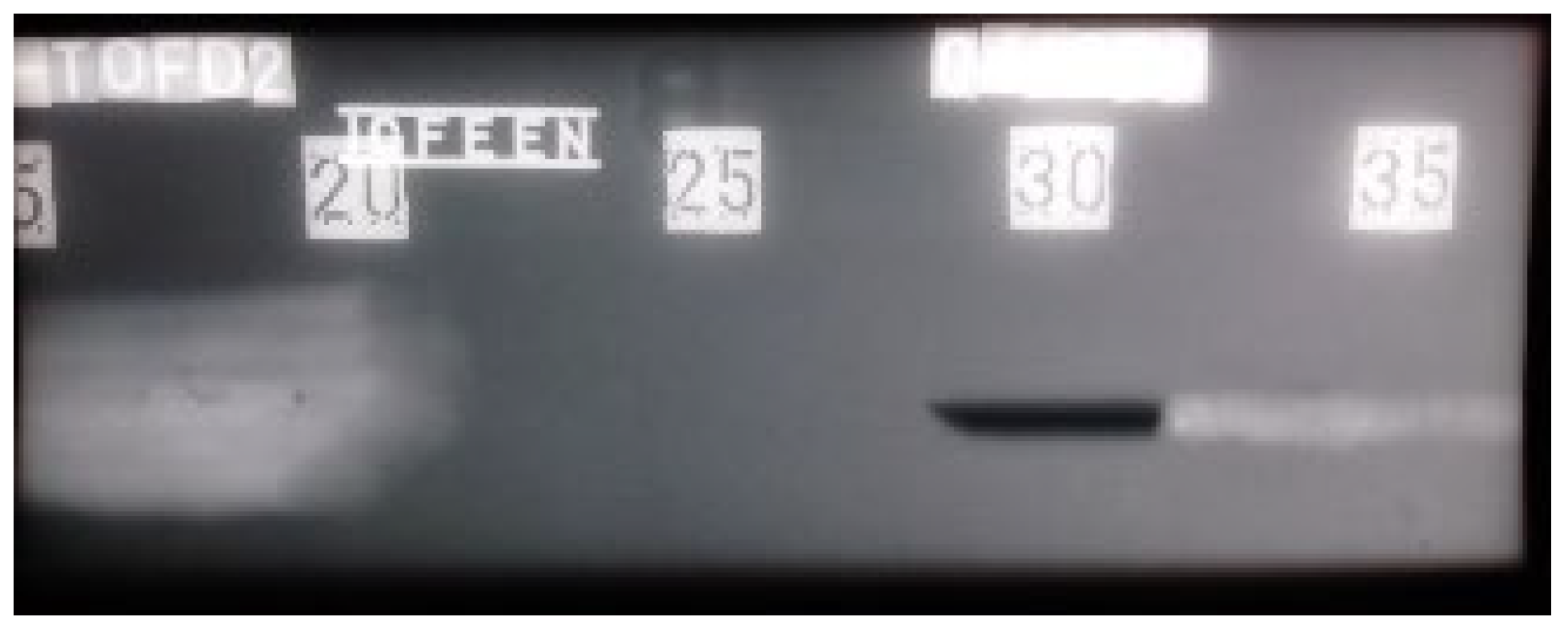 Materials 16 03579 g010 Materials 16 03579 g010