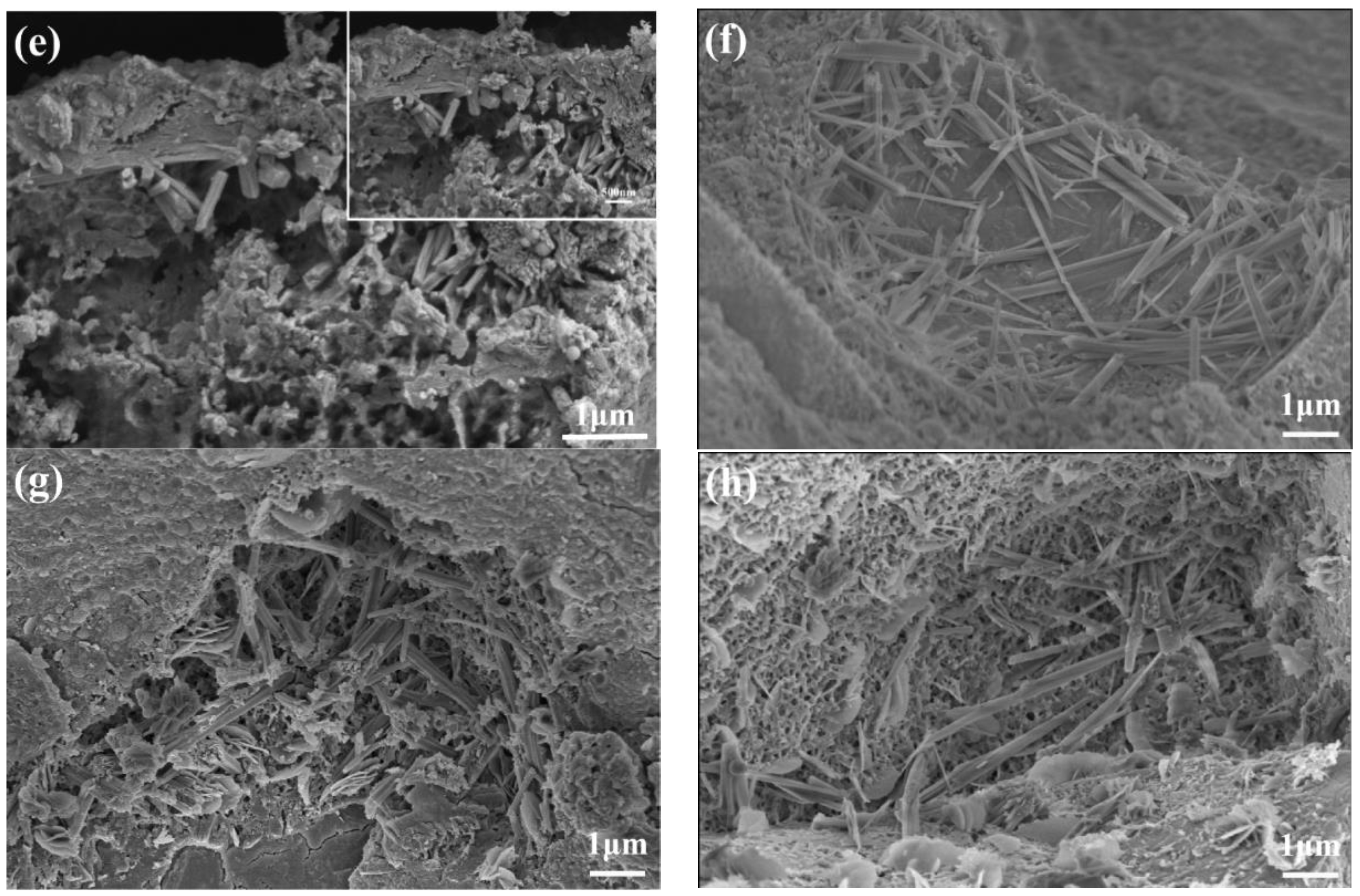 Materials 16 03581 g017b