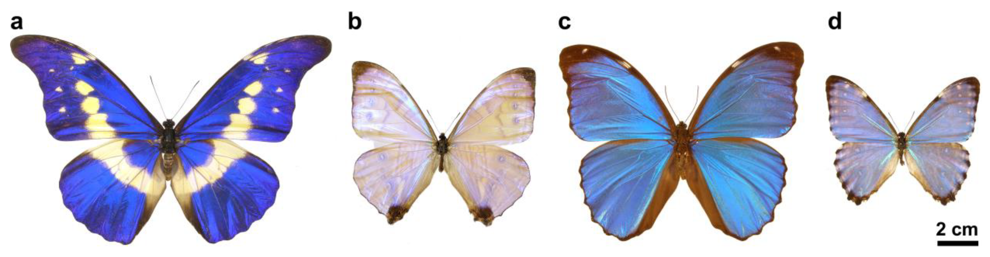 Materials 16 03584 g001 Materials 16 03584 g001