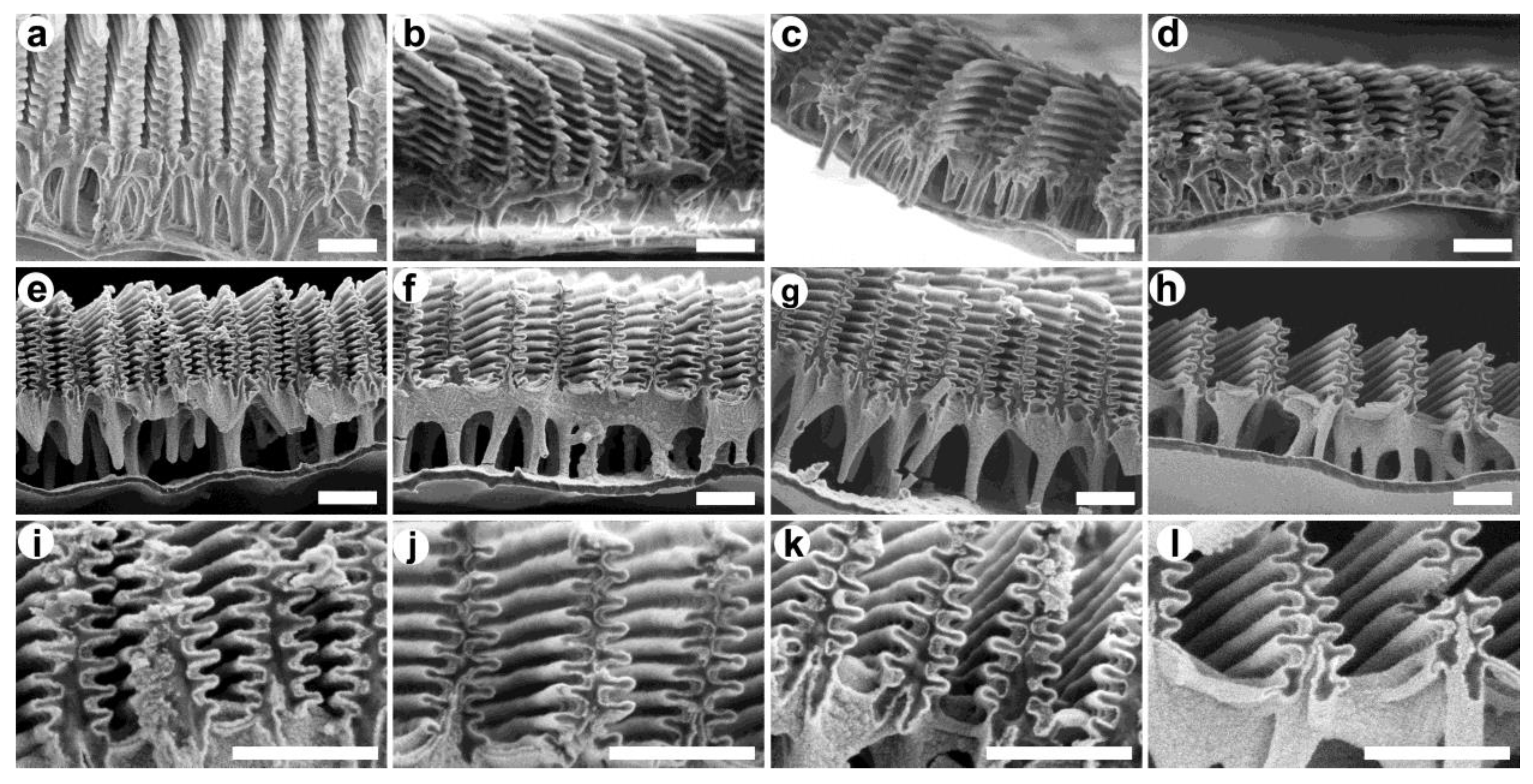 Materials 16 03584 g003 Materials 16 03584 g003