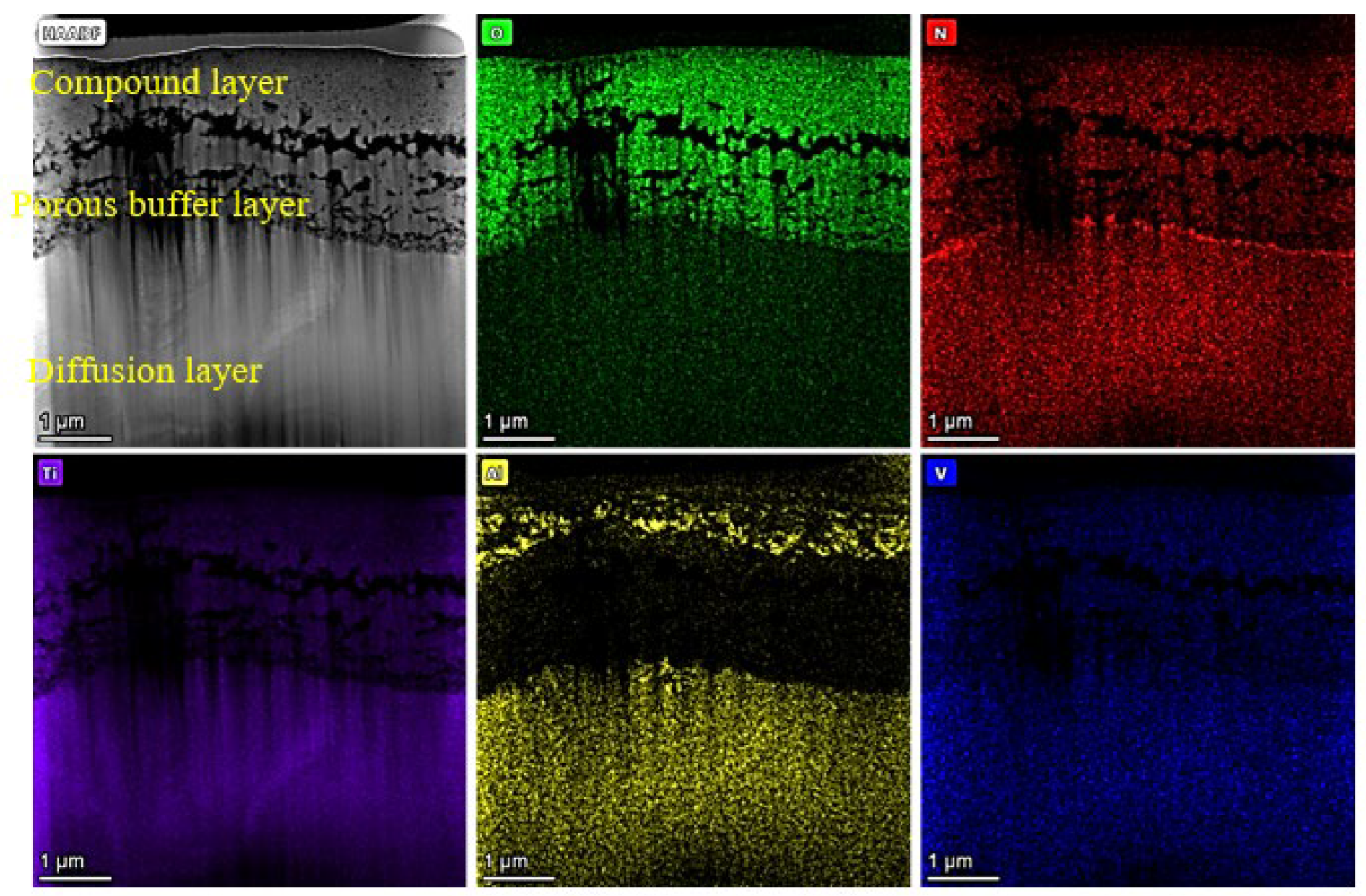Materials 16 03609 g004 Materials 16 03609 g004