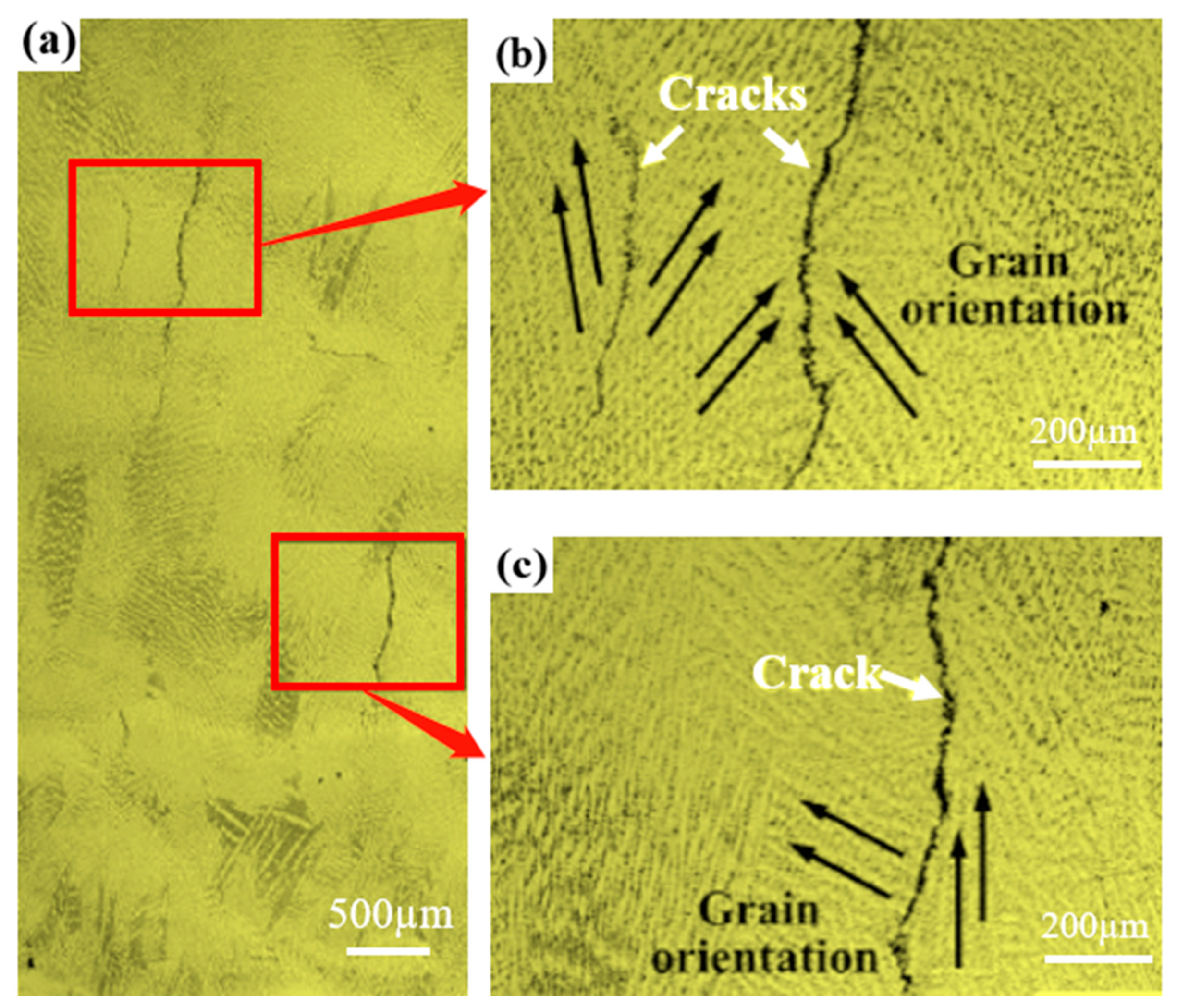 Materials 16 03616 g003