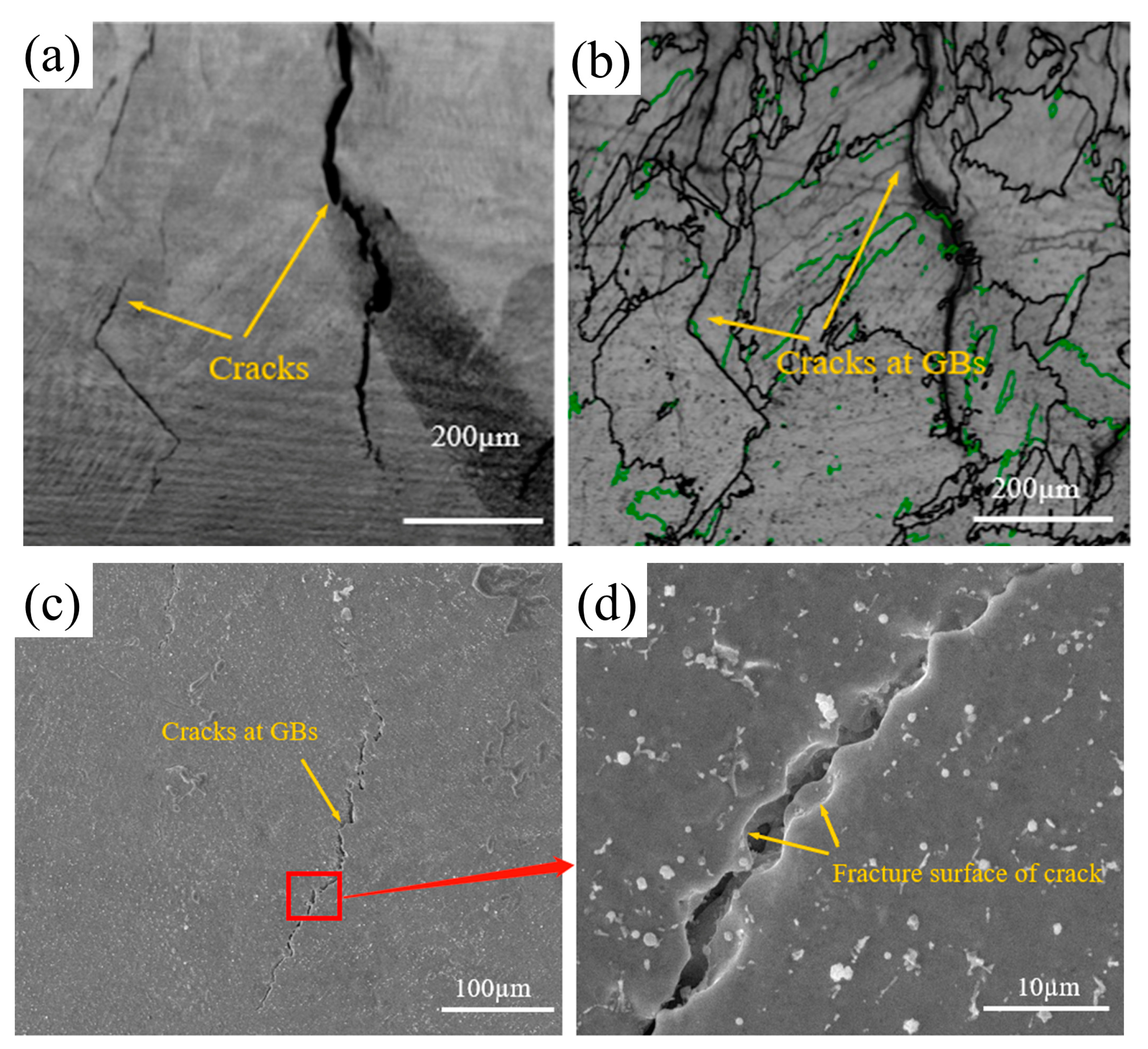 Materials 16 03616 g004
