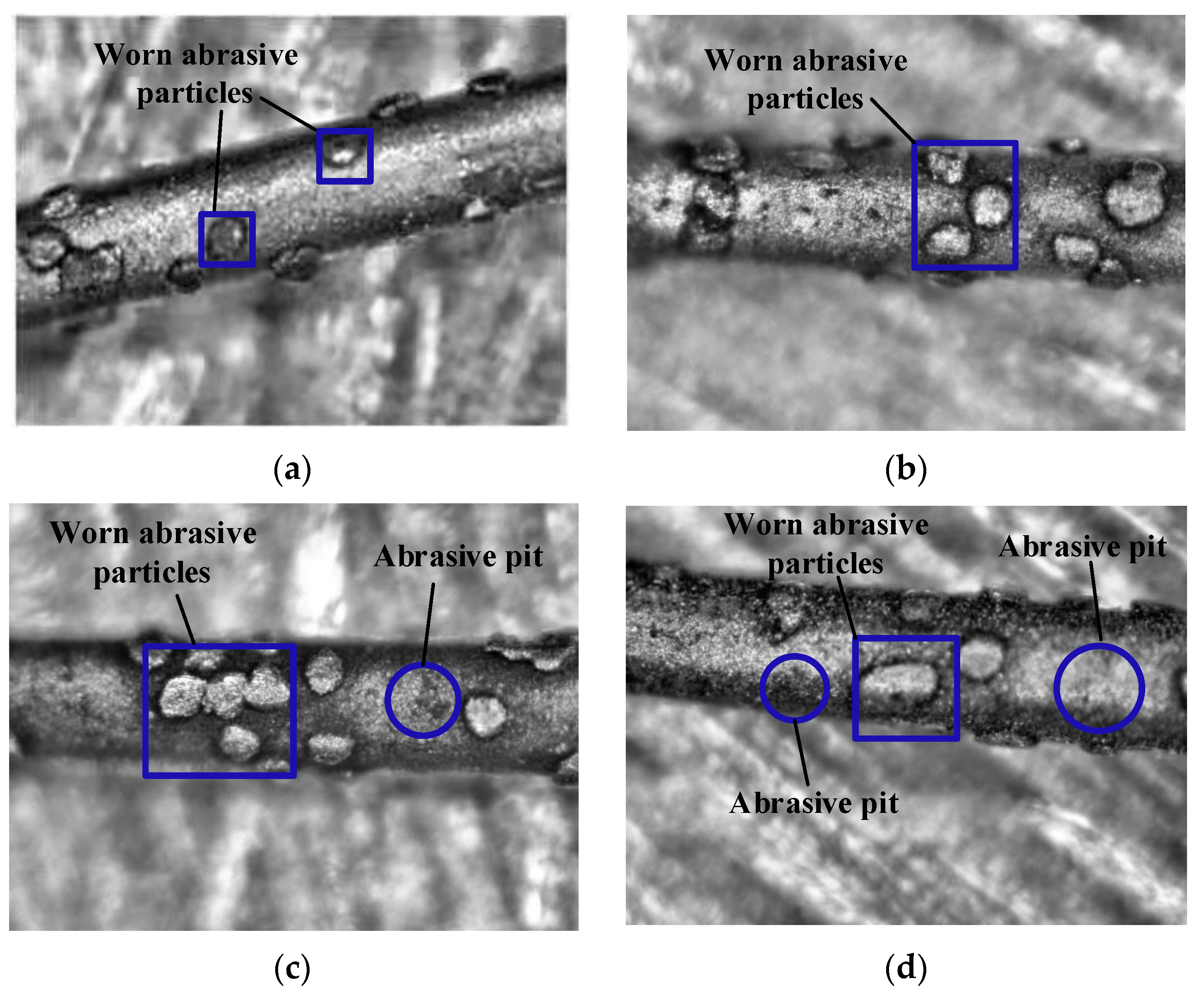 Materials 16 03619 g007a