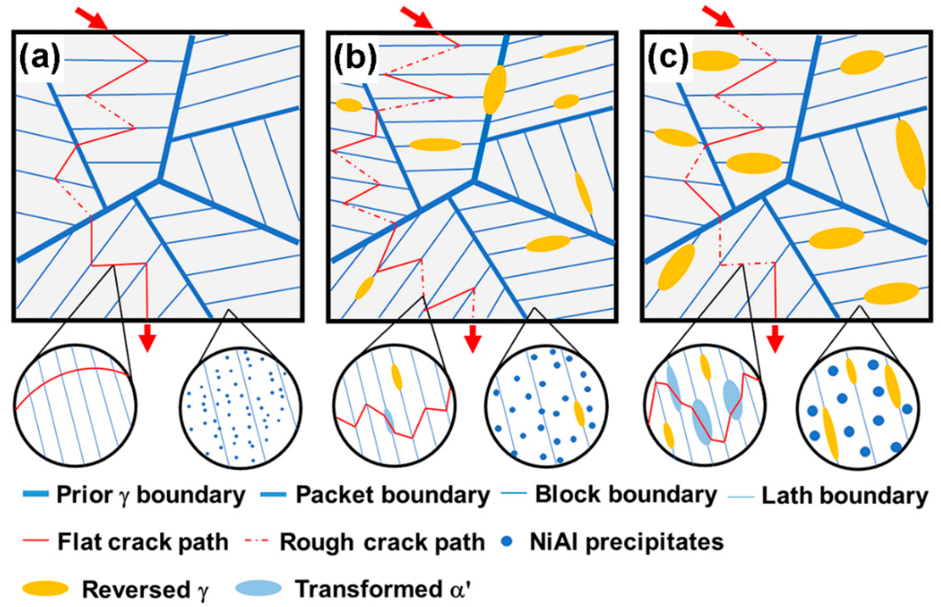Materials 16 03630 g013 Materials 16 03630 g013