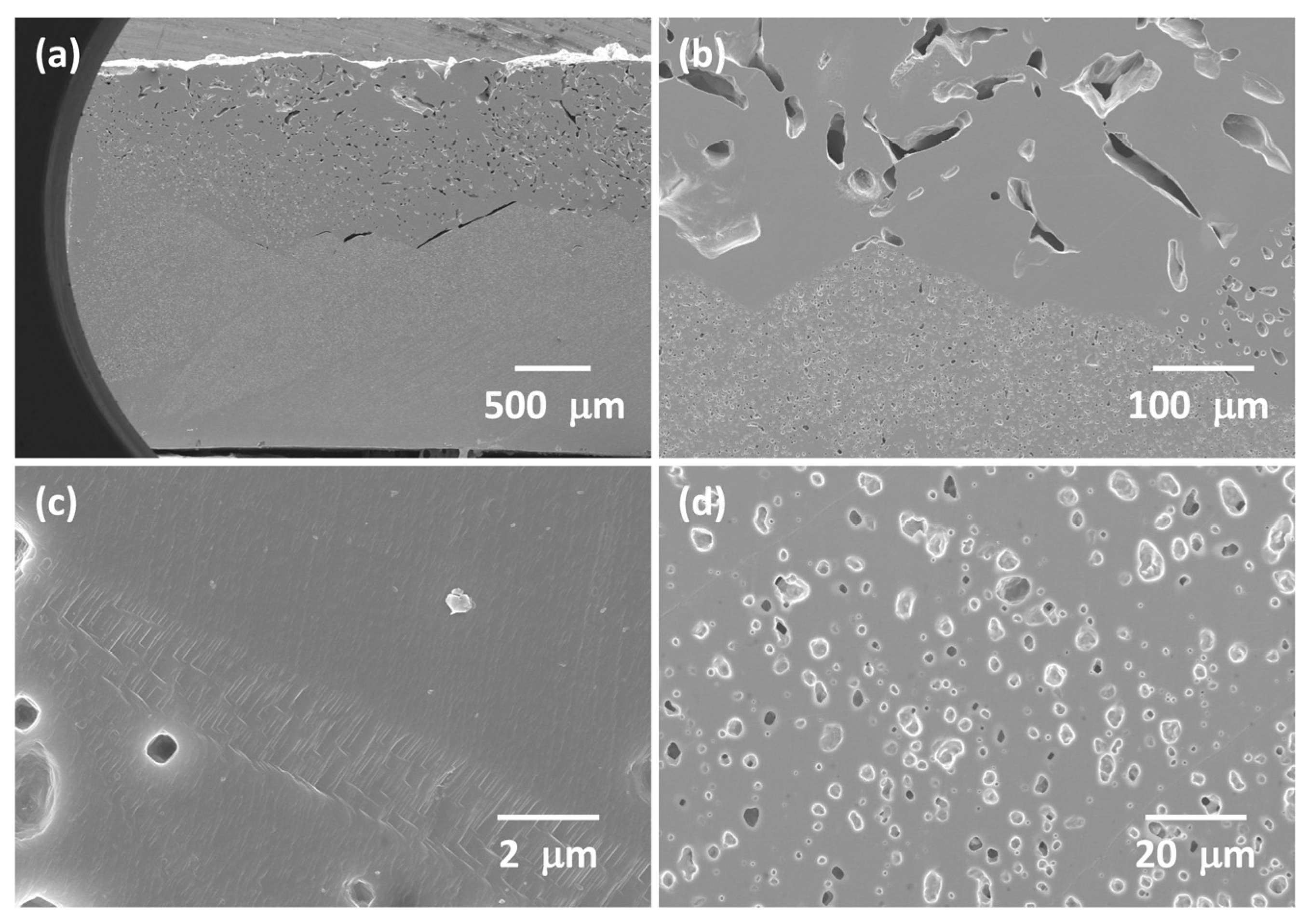 Materials 16 03638 g004 Materials 16 03638 g004