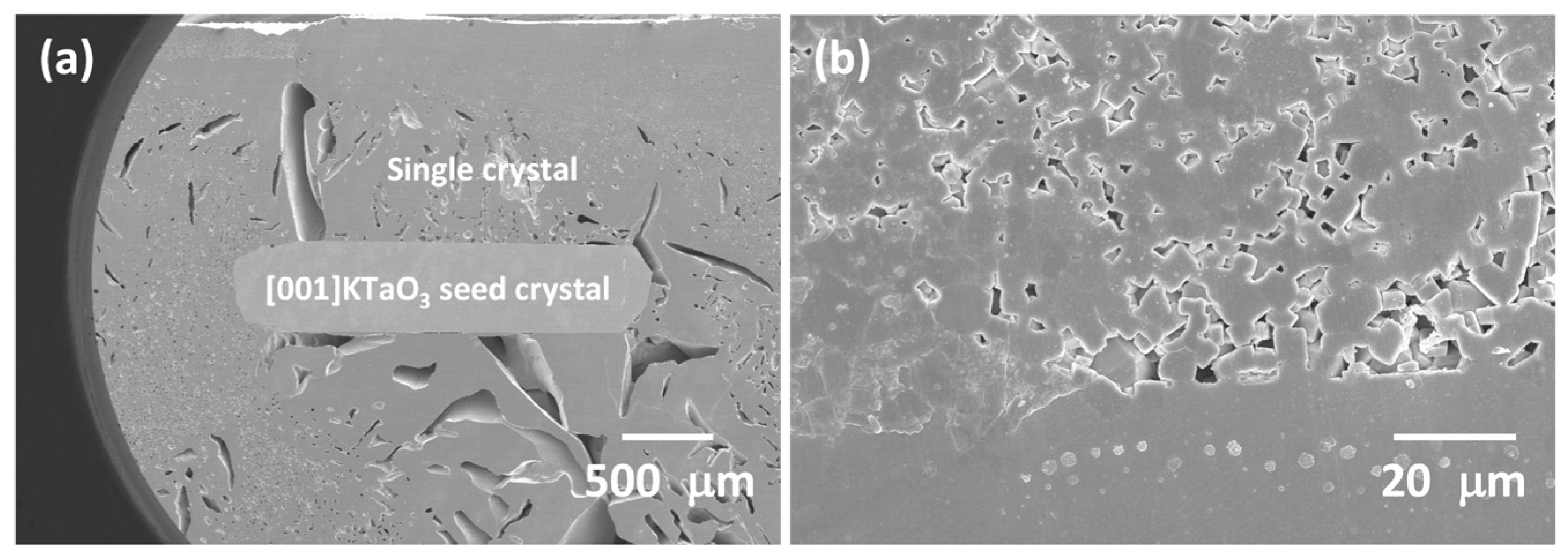 Materials 16 03638 g007 Materials 16 03638 g007