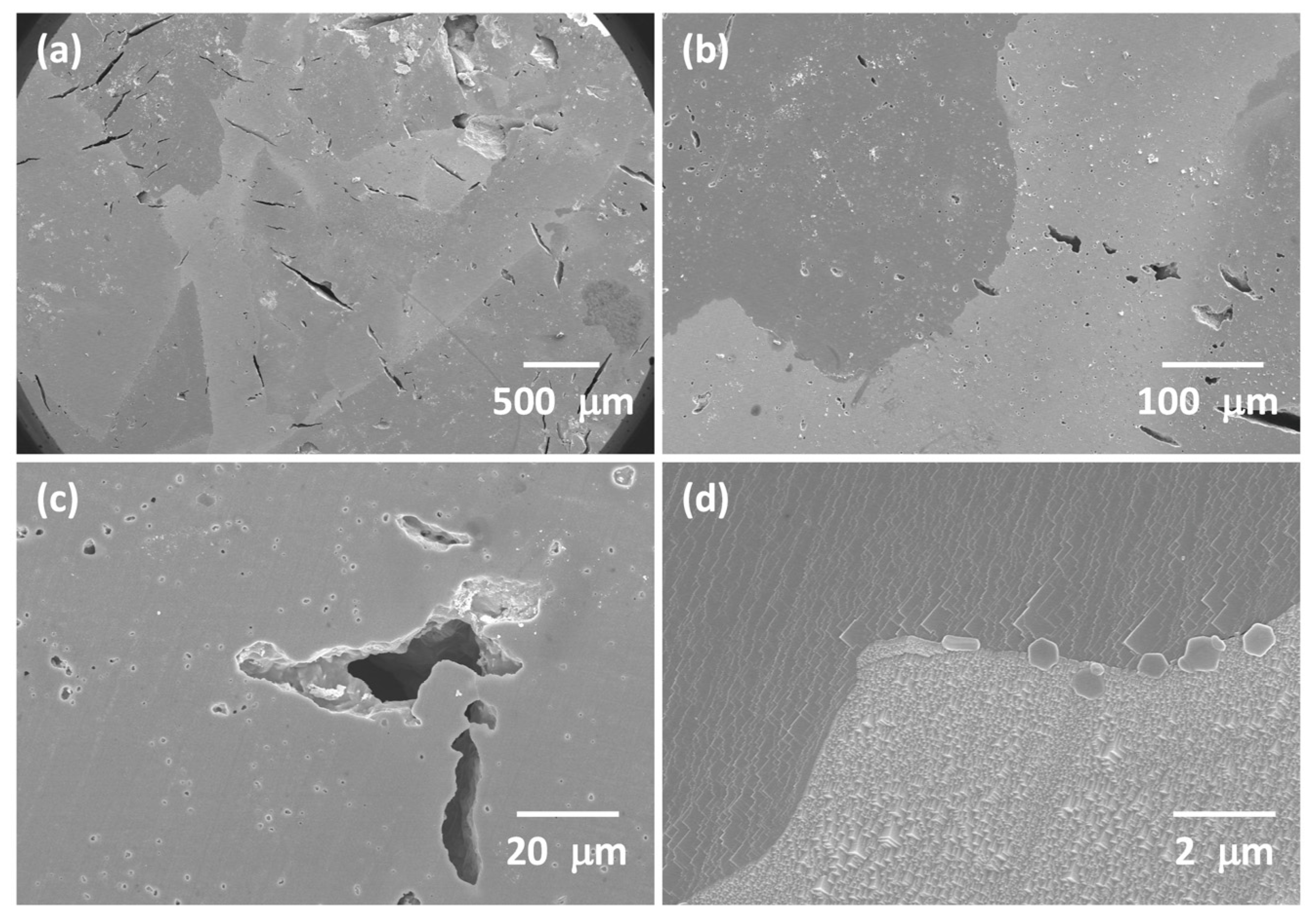 Materials 16 03638 g009 Materials 16 03638 g009