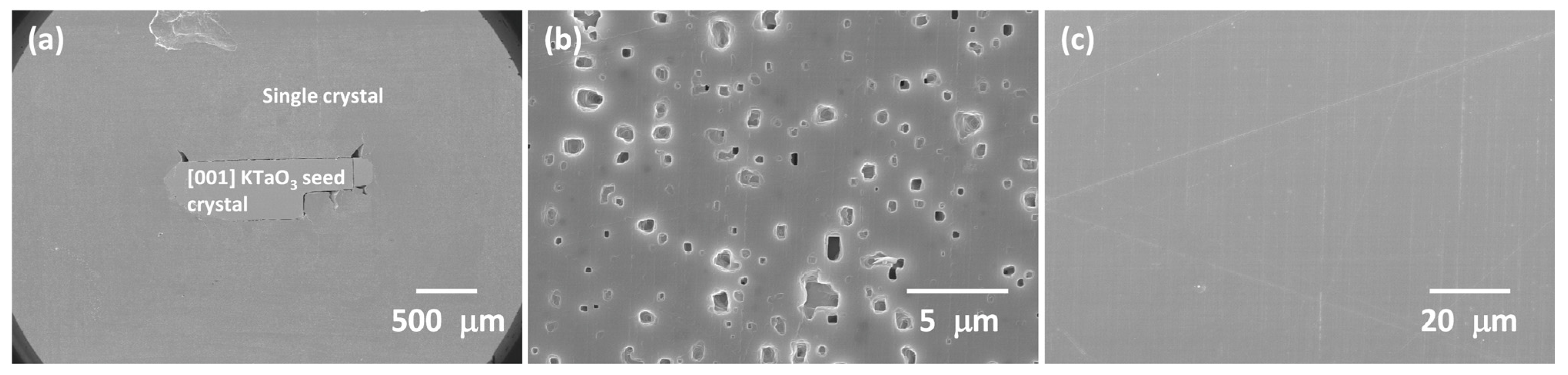 Materials 16 03638 g011 Materials 16 03638 g011