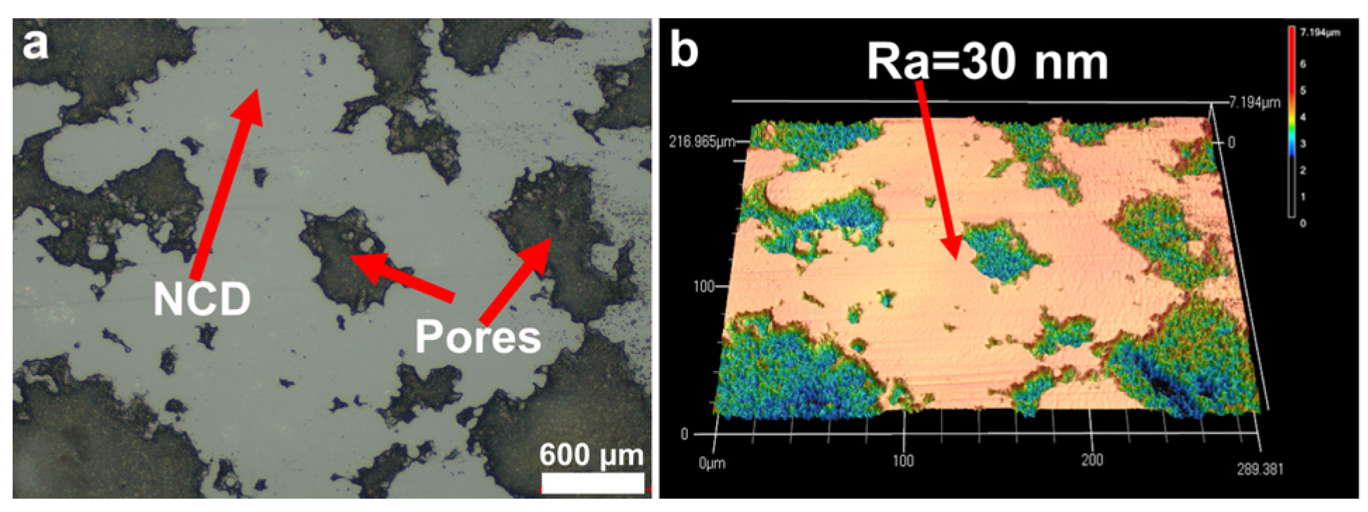 Materials 16 03640 g008