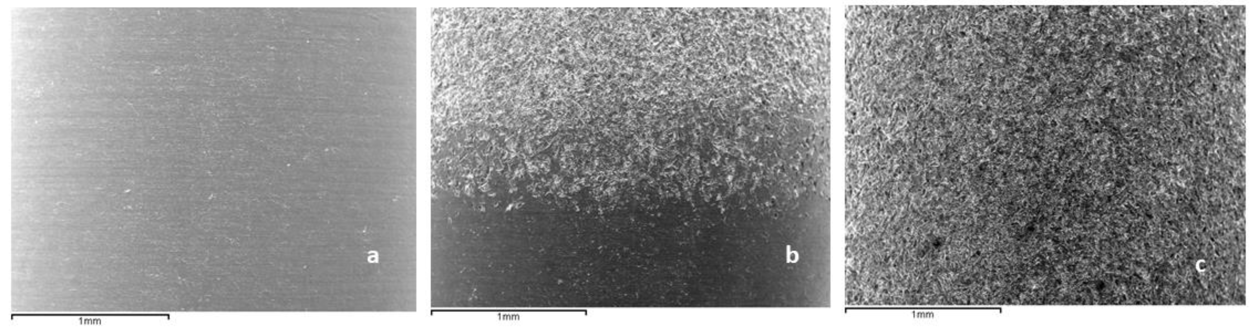 Materials 16 03650 g003