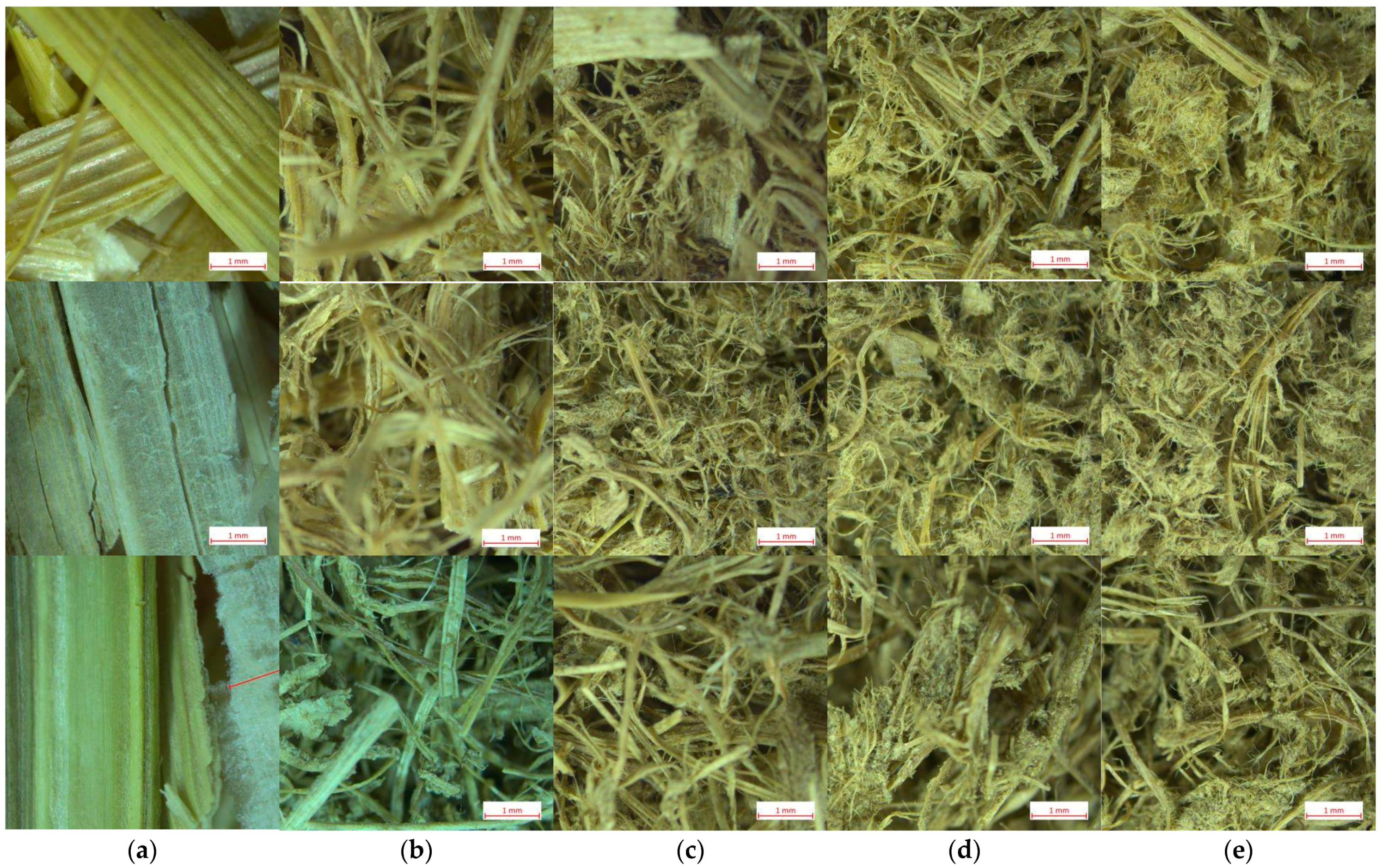 Materials 16 03654 g005 Materials 16 03654 g005