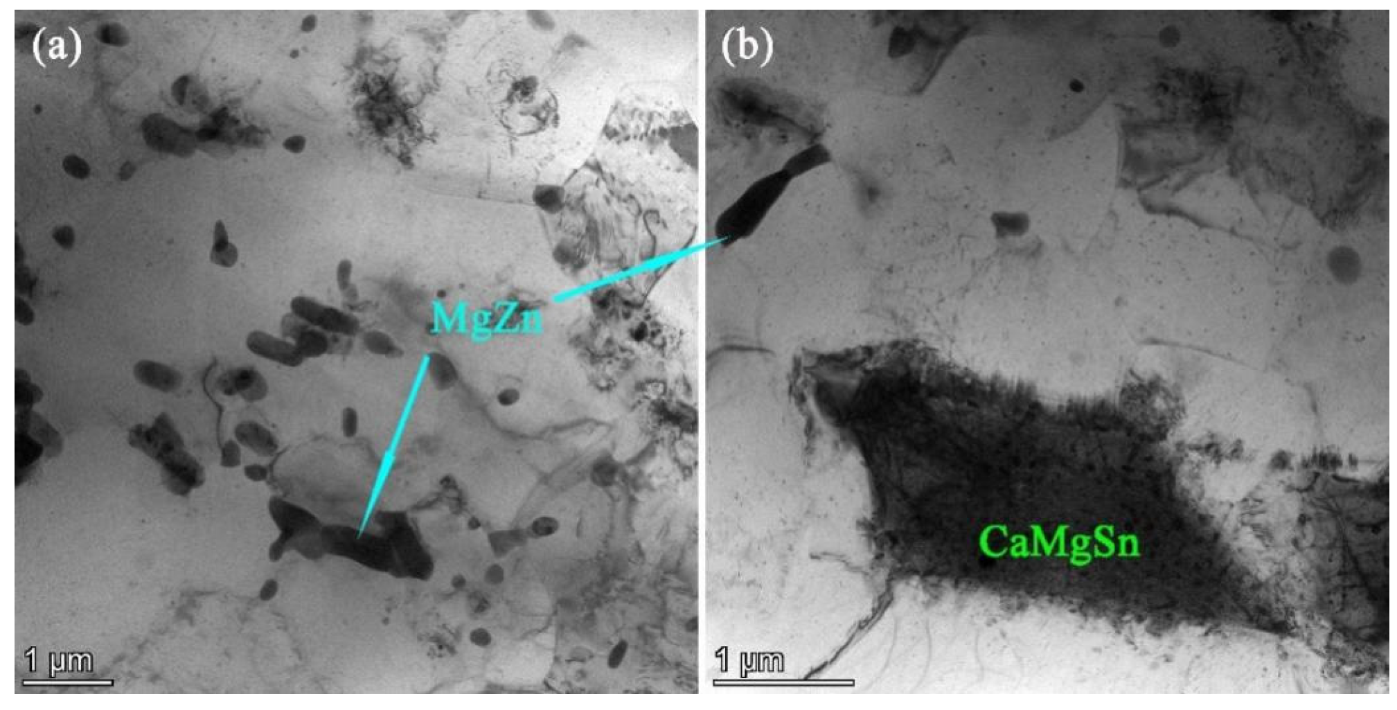 Materials 16 03664 g008