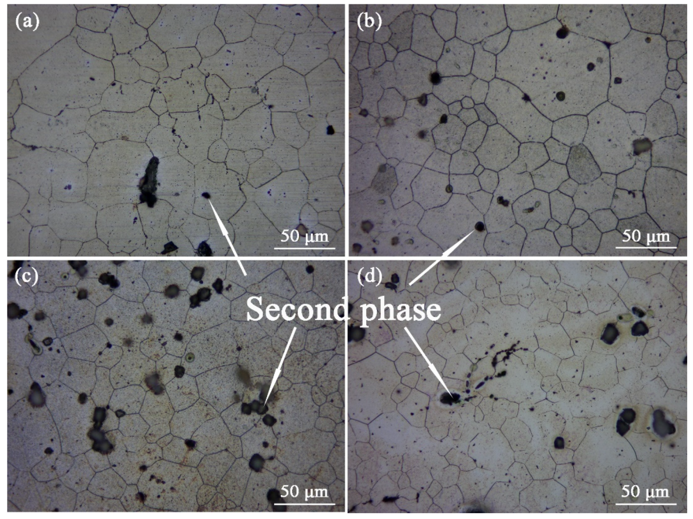 Materials 16 03664 g010