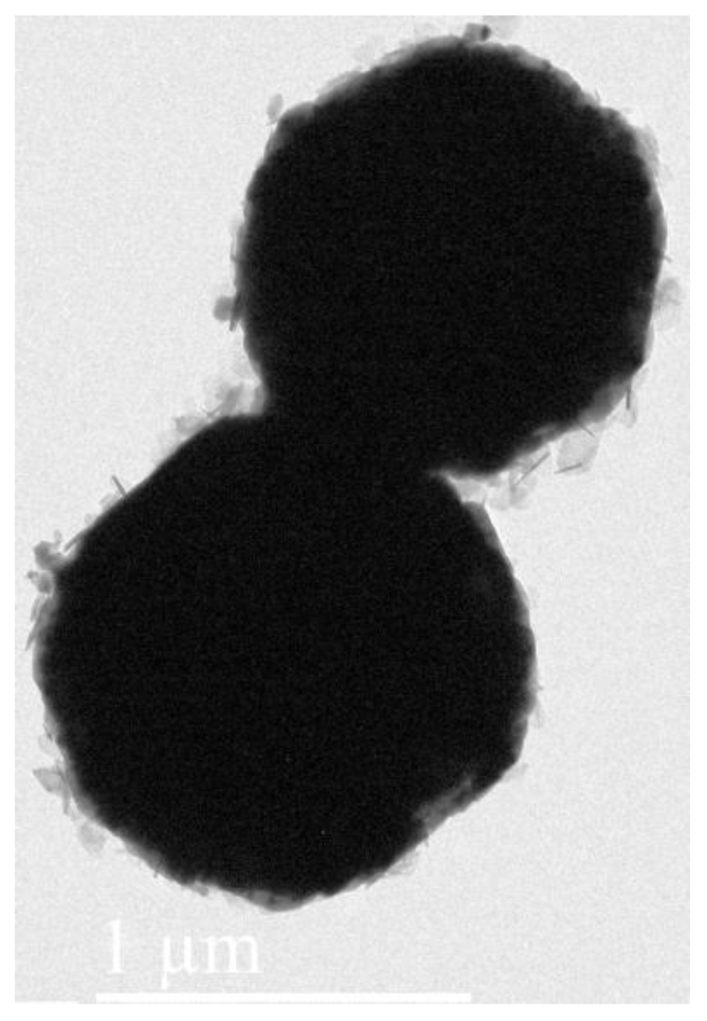 Materials 16 03665 g005 Materials 16 03665 g005