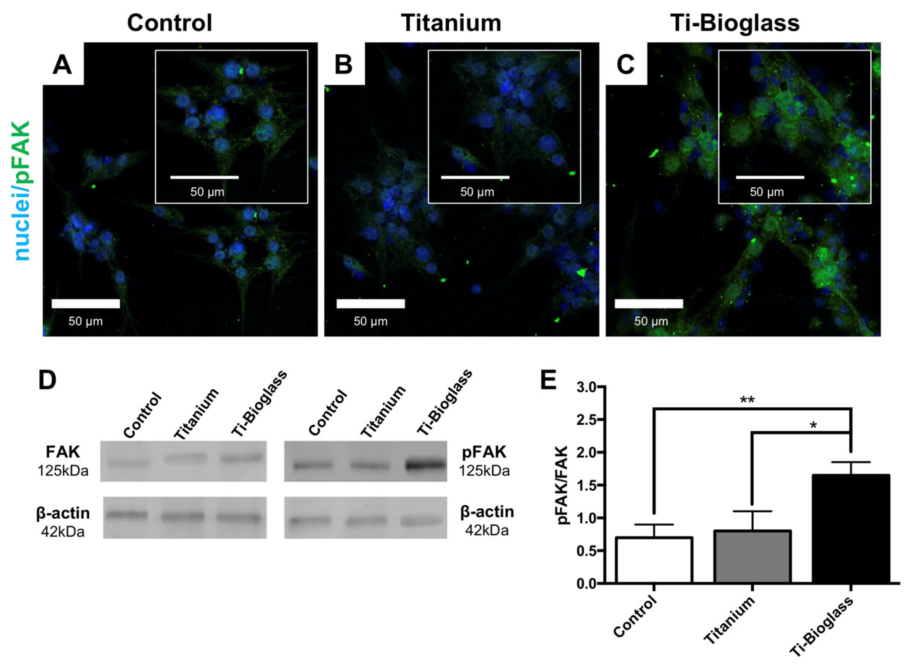 Materials 16 03676 g002 Materials 16 03676 g002