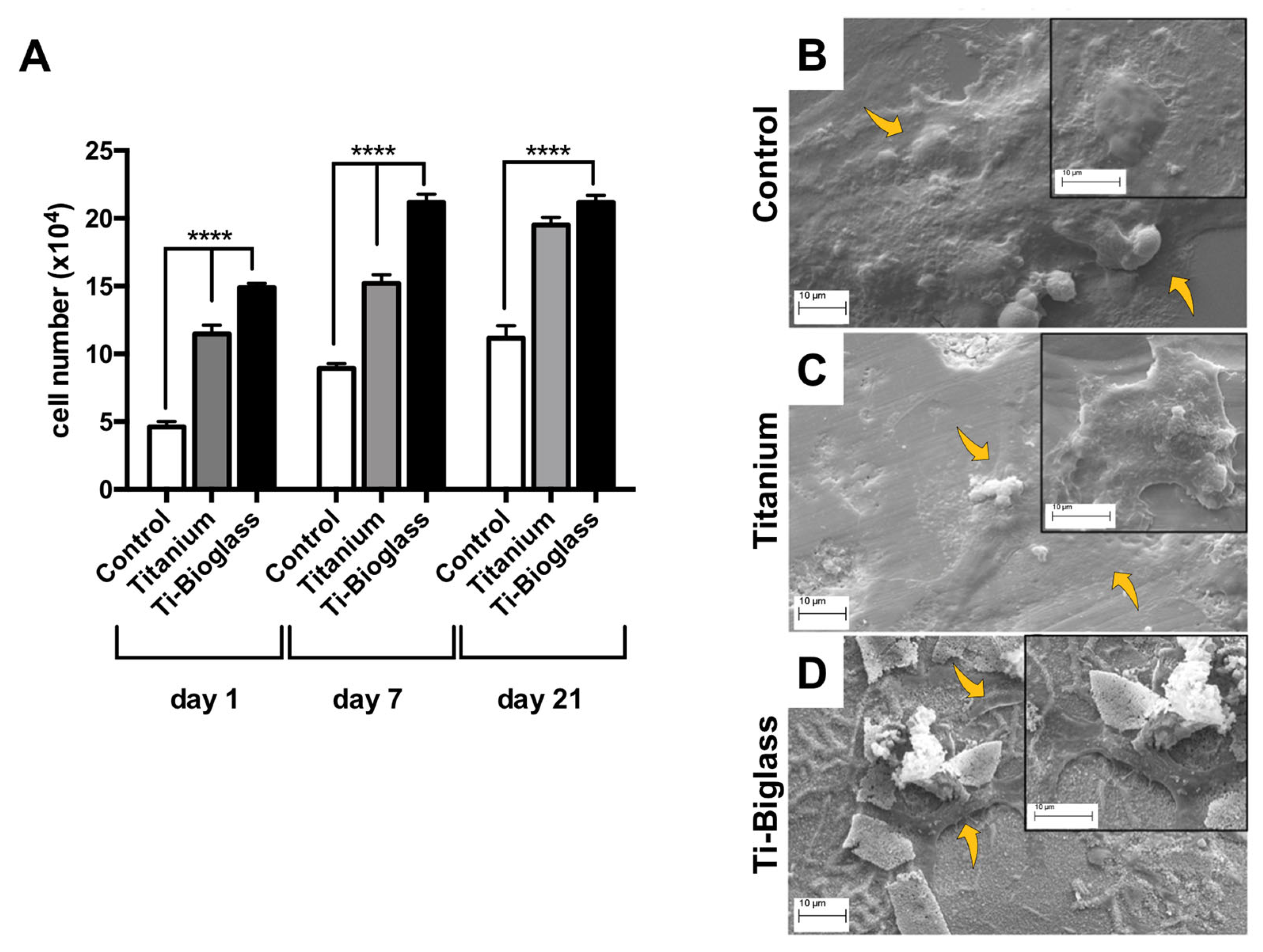 Materials 16 03676 g003 Materials 16 03676 g003