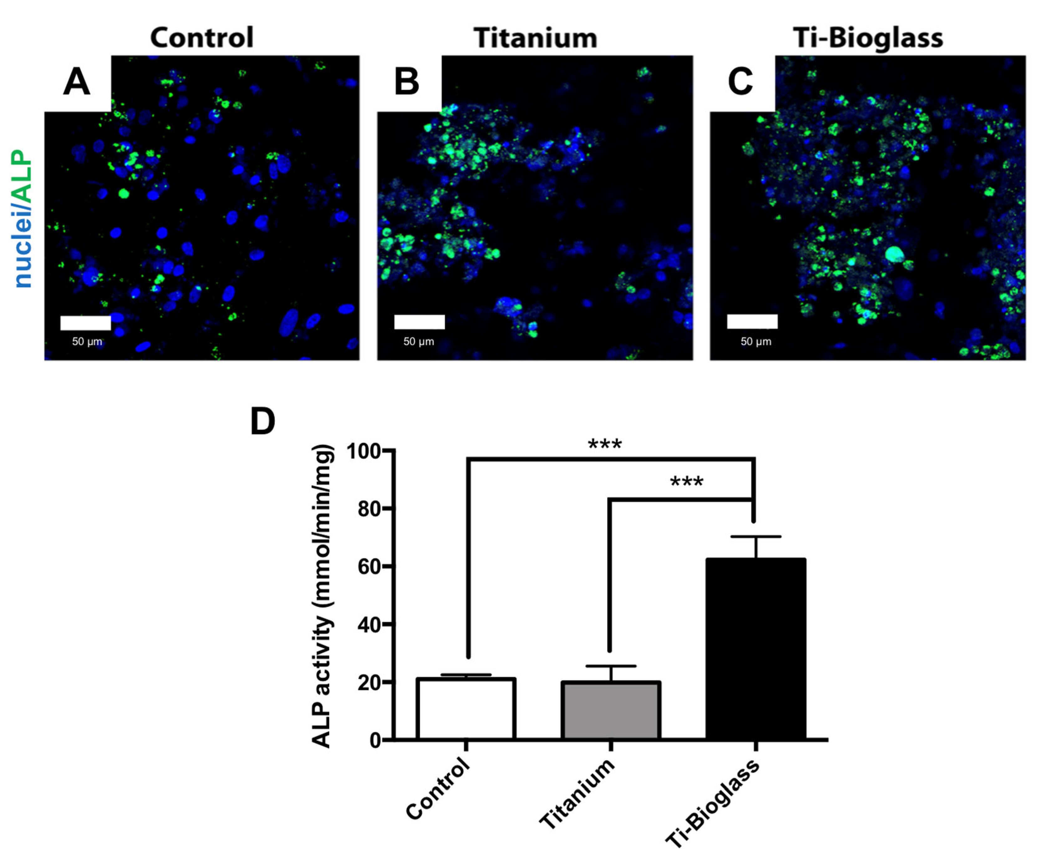 Materials 16 03676 g004 Materials 16 03676 g004