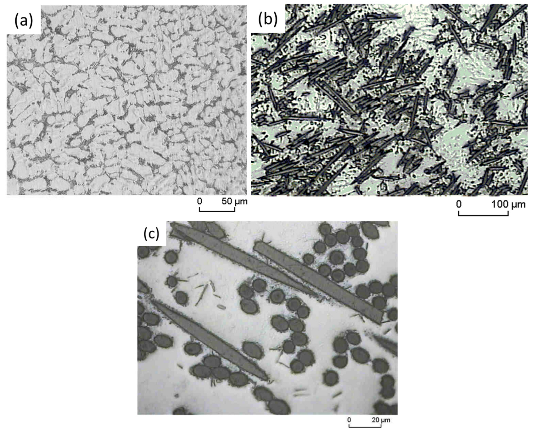 Materials 16 03686 g002