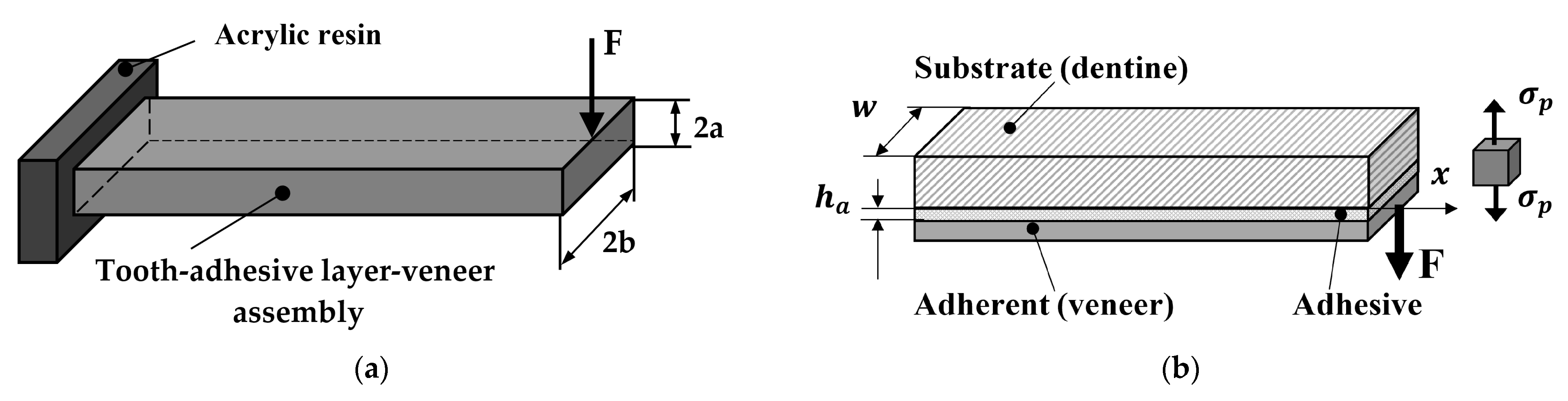 Materials 16 03694 g005