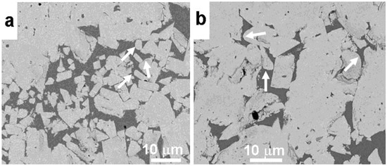 ホワイト。 Faceting/Roughening of WC/Binder Interfaces in Cemented