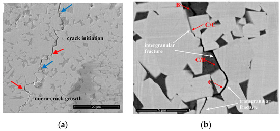 Faceting/Roughening of WC/Binder Interfaces in Cemented