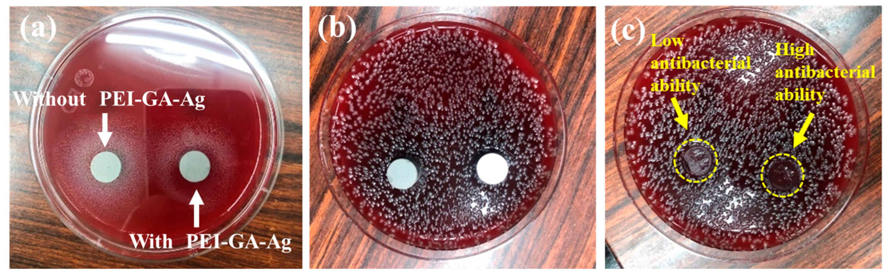 Materials 16 03719 g008 Materials 16 03719 g008