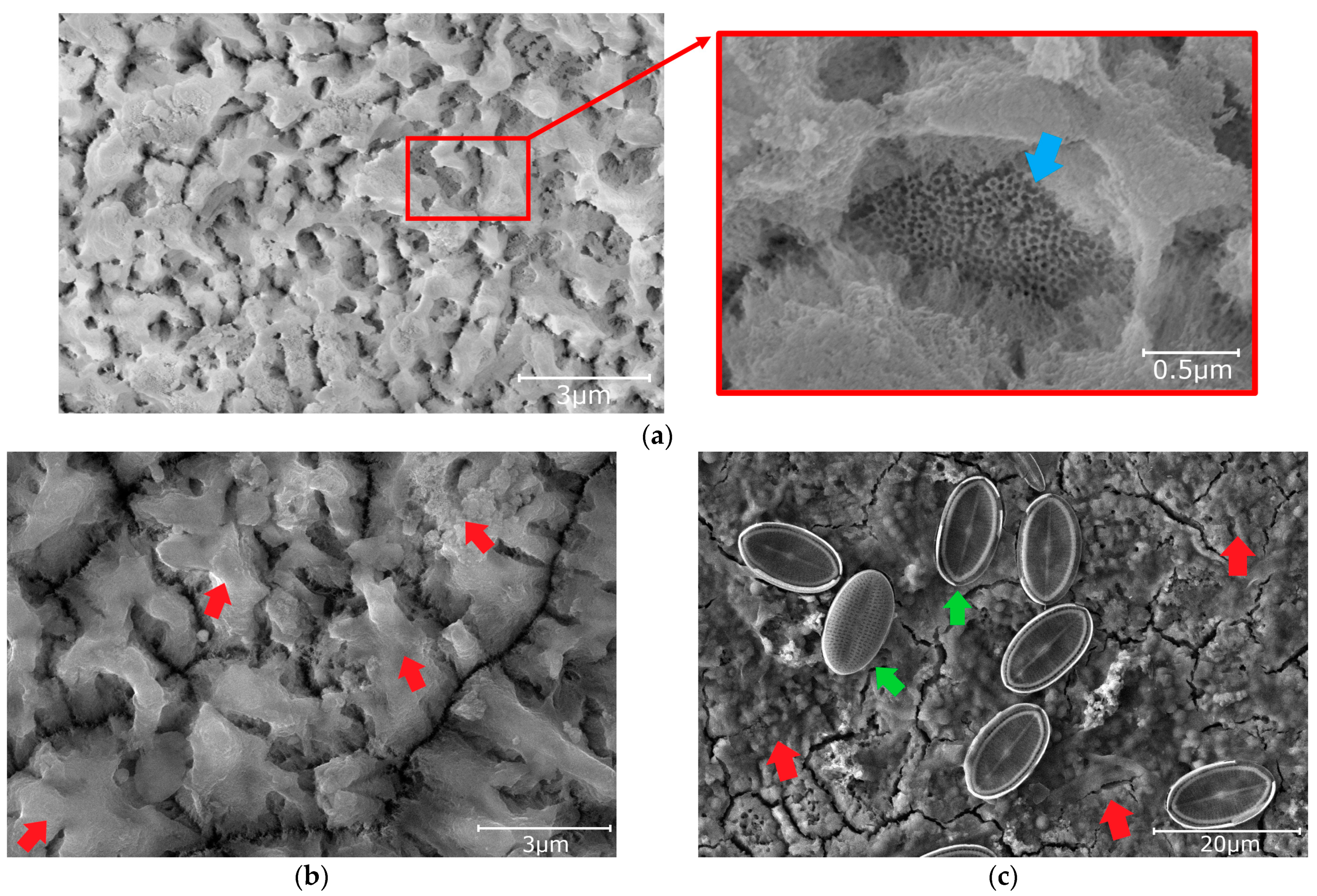 Materials 16 03729 g004 Materials 16 03729 g004