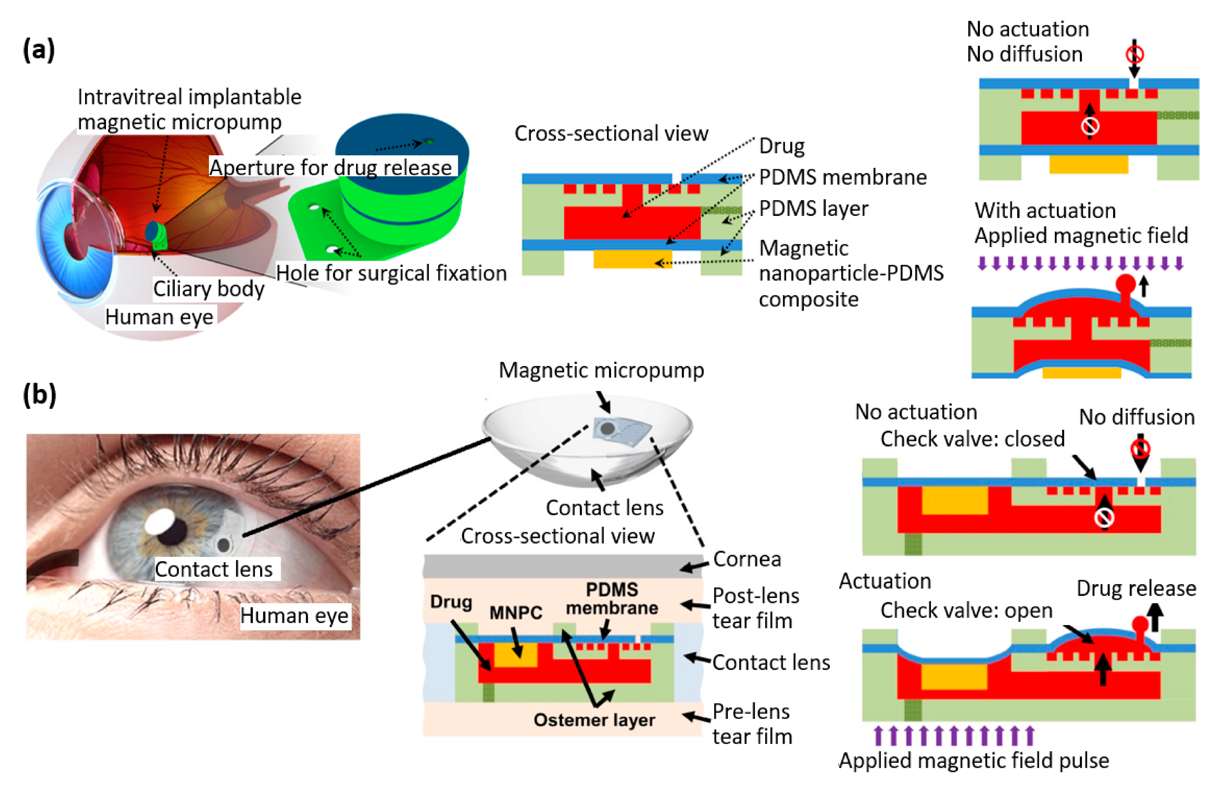 Materials 16 03802 g010 Materials 16 03802 g010