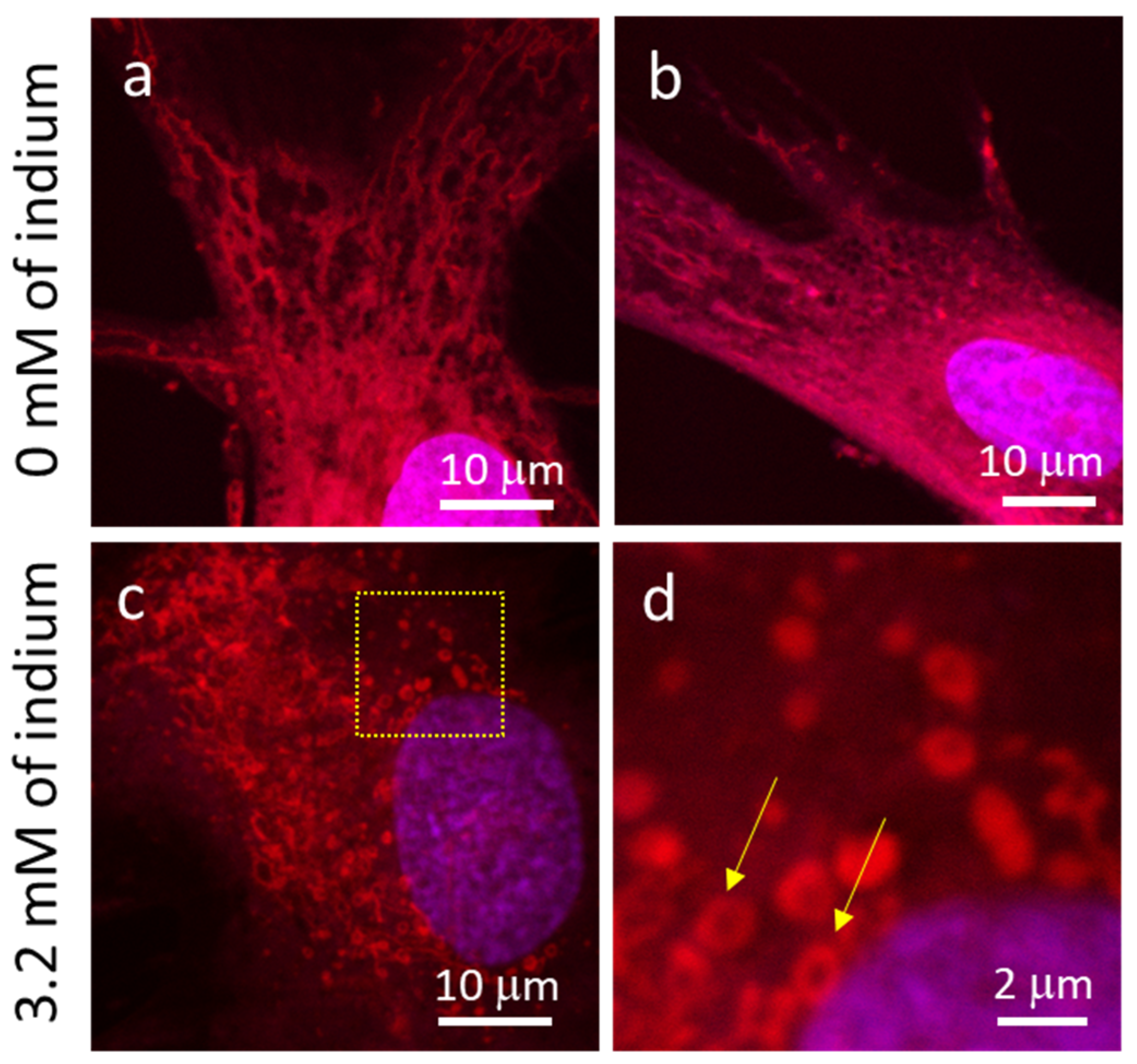 Materials 16 03814 g004
