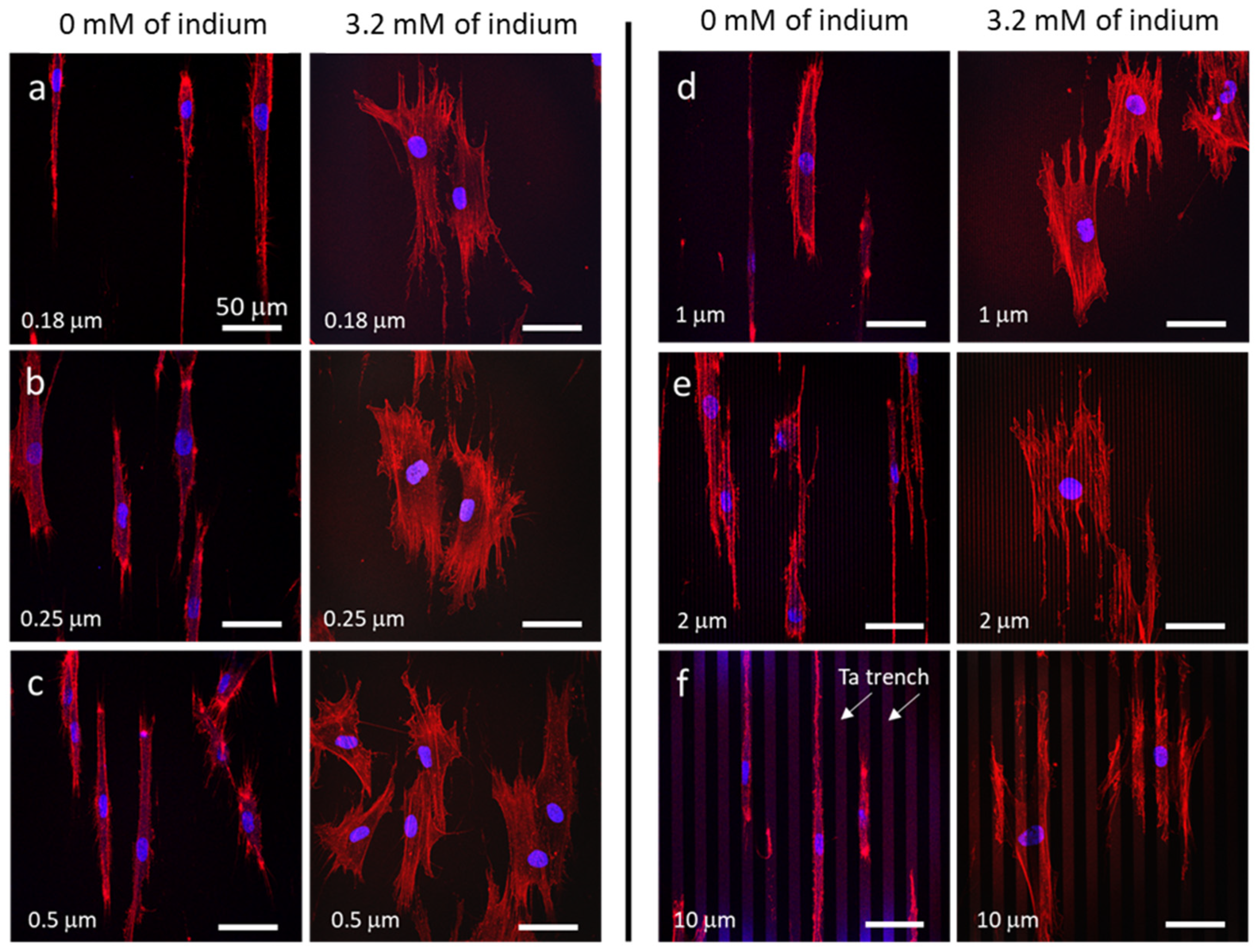 Materials 16 03814 g006