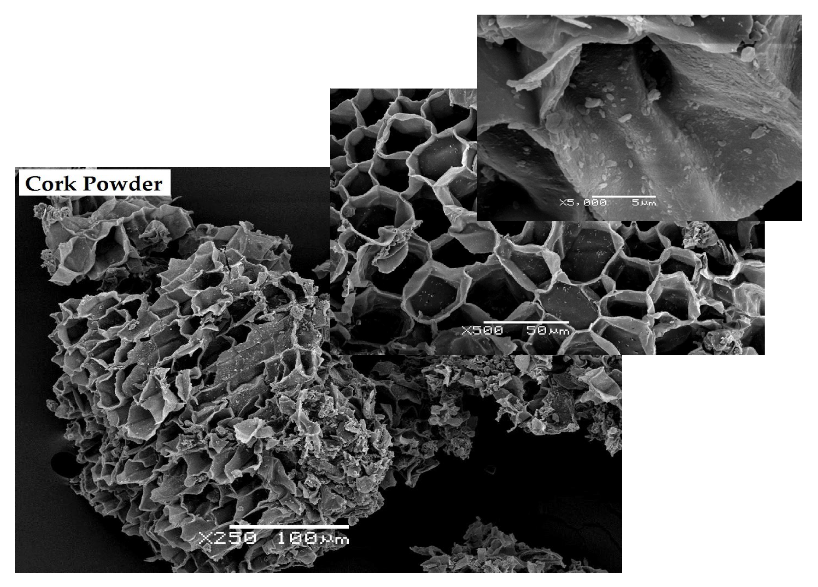 Materials 16 03829 g003 Materials 16 03829 g003