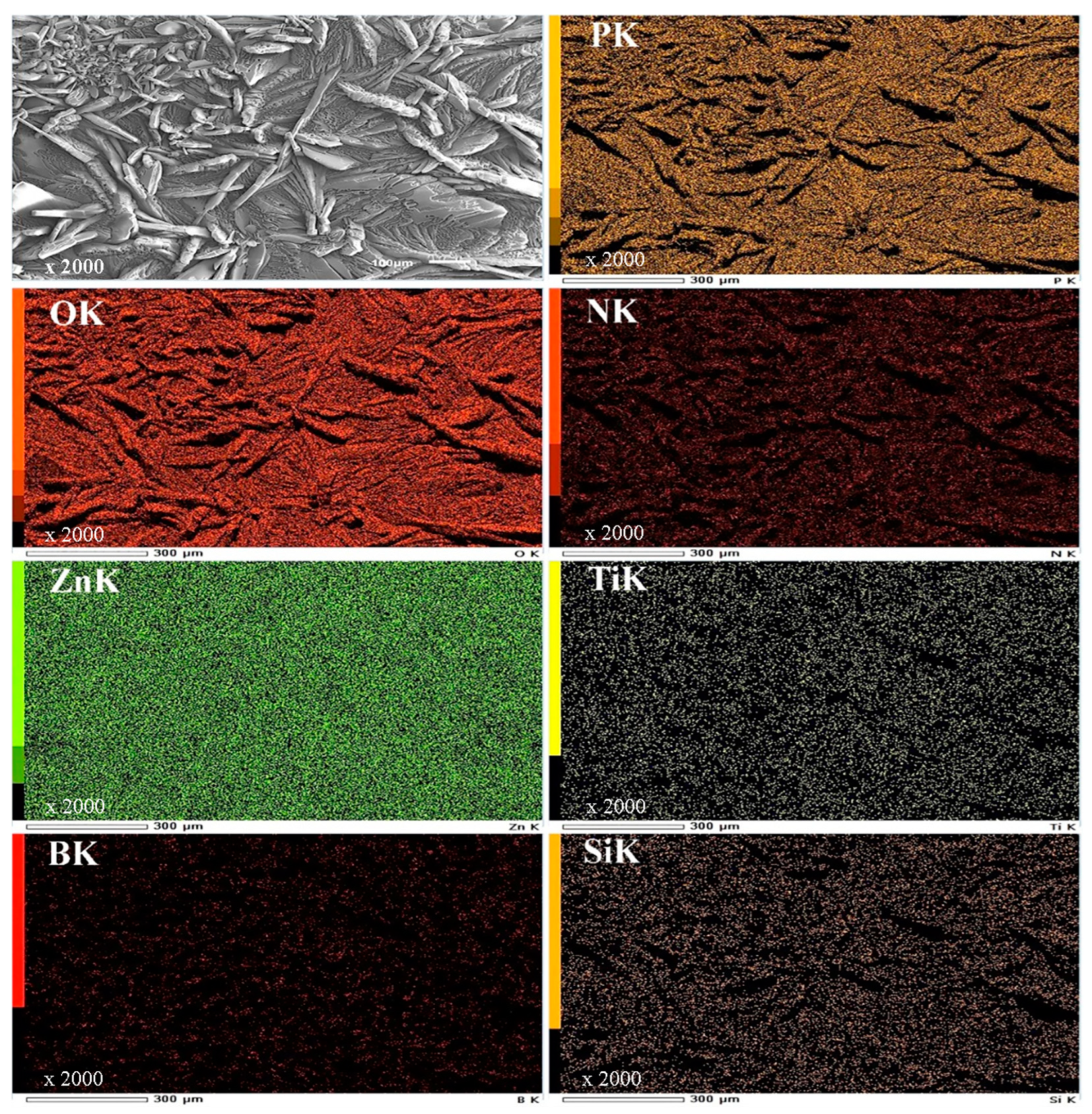 Materials 16 03835 g004