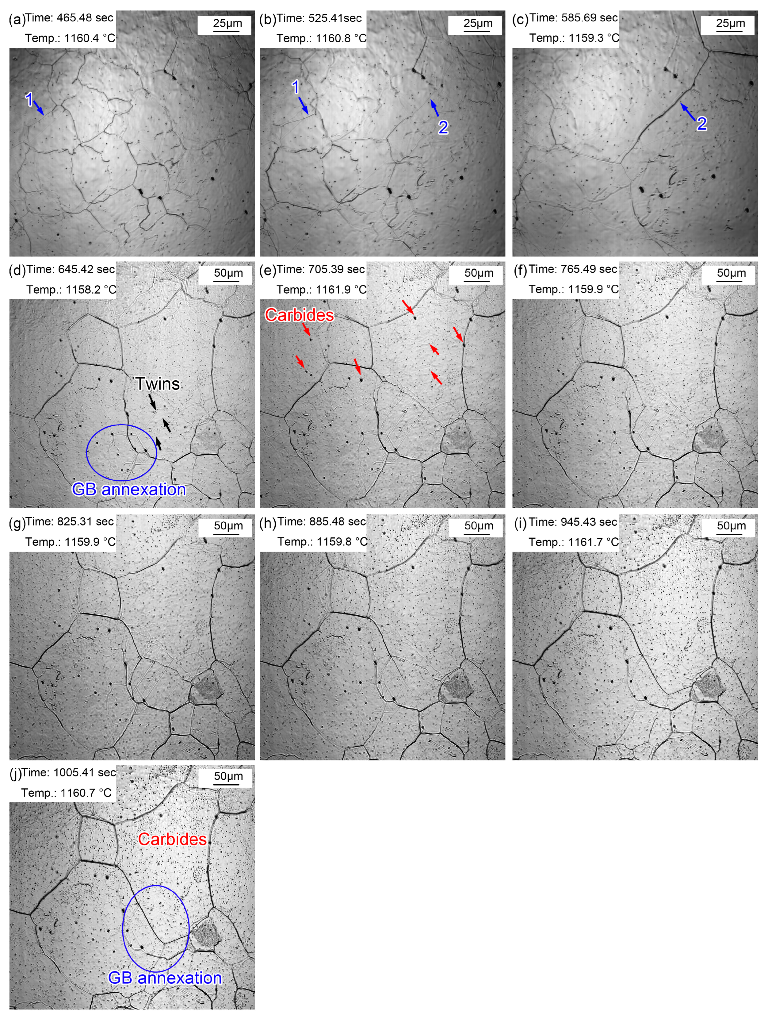 Materials 16 03840 g008