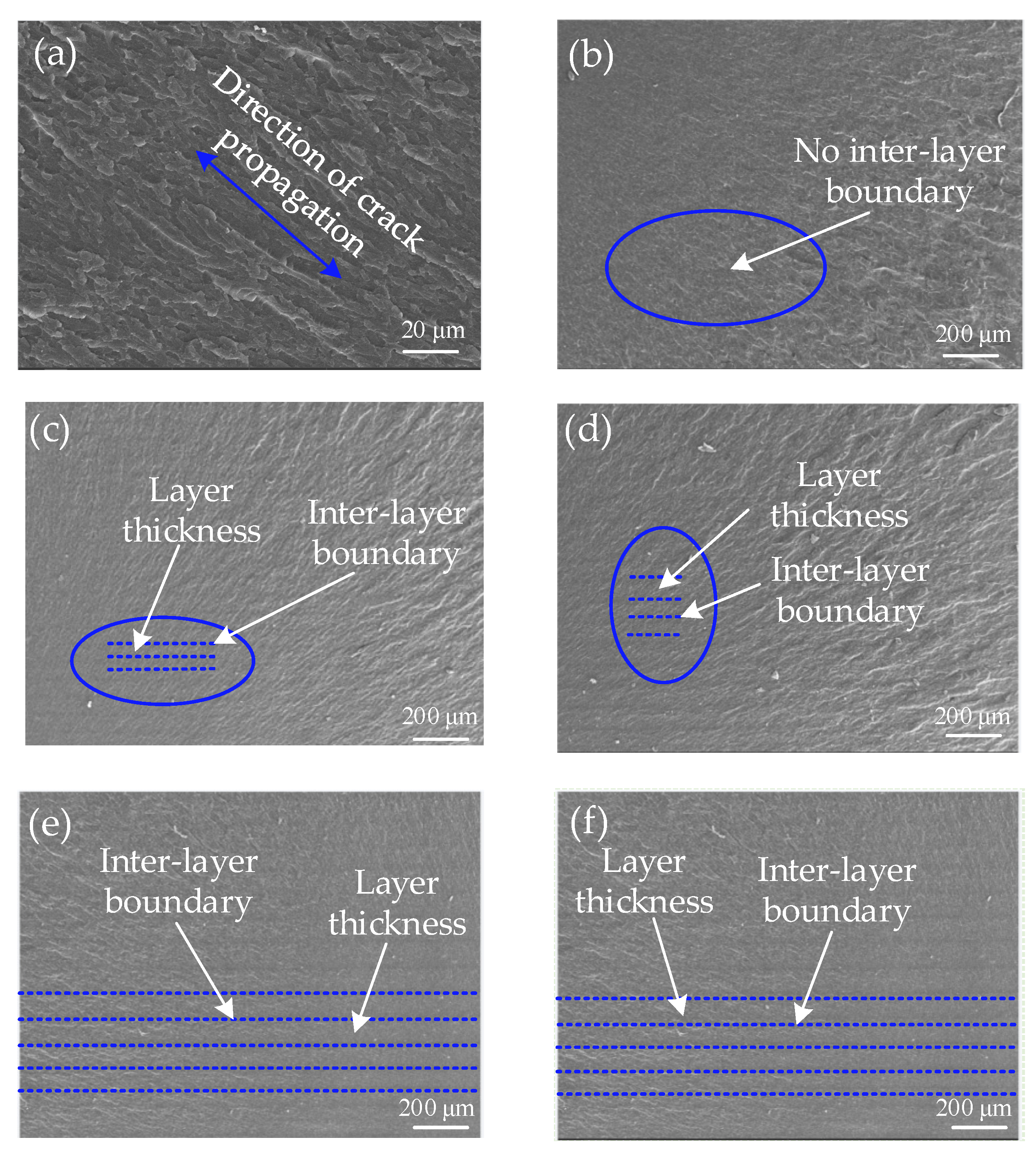 Materials 16 03847 g006 Materials 16 03847 g006