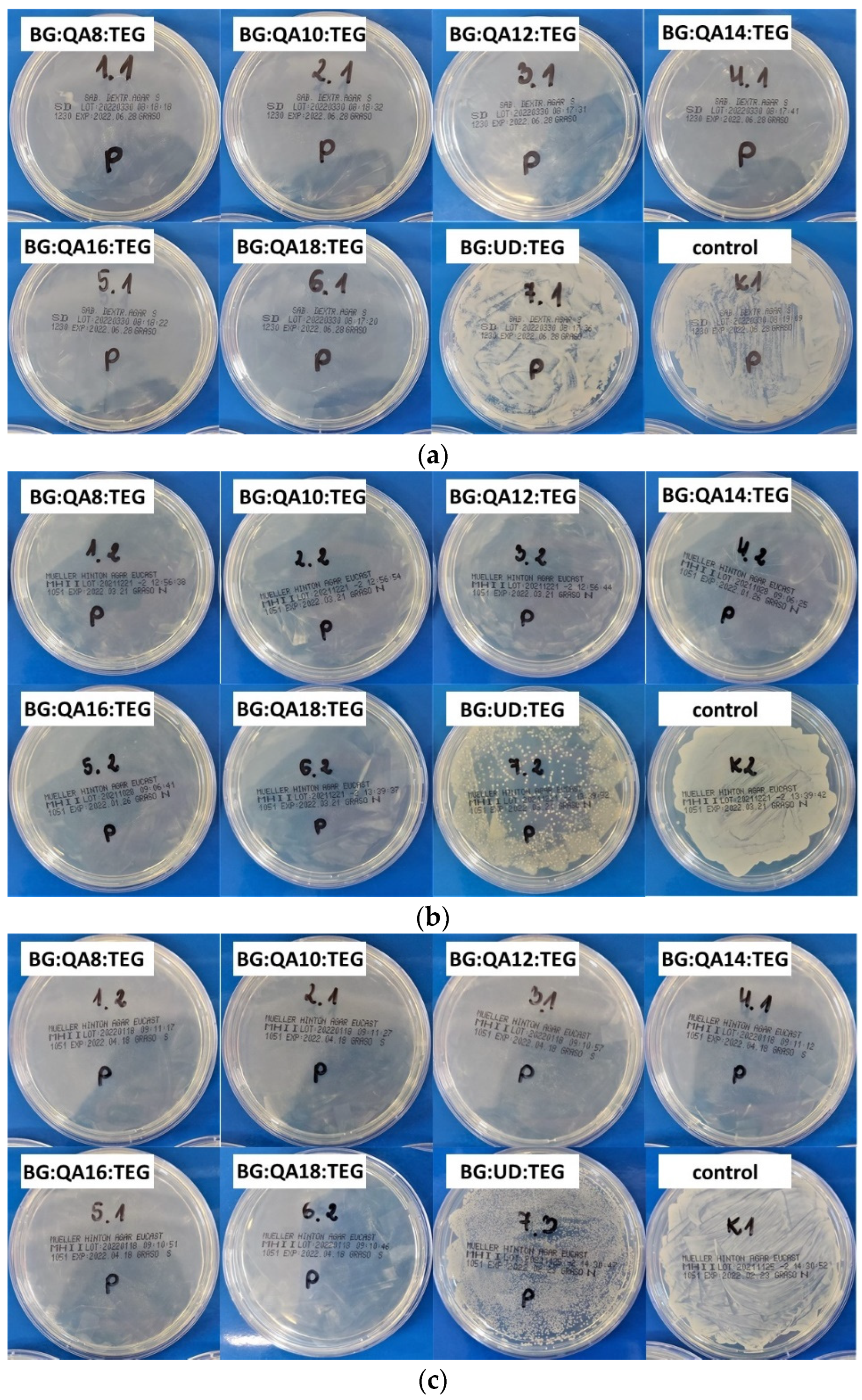 Materials 16 03855 g007 Materials 16 03855 g007