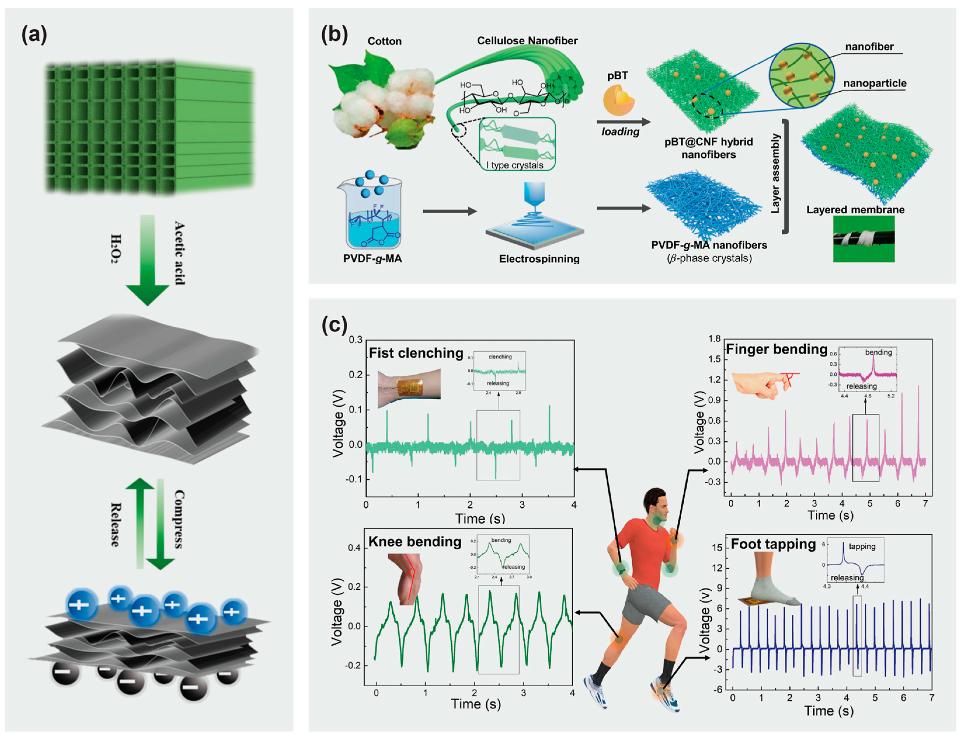 Materials 16 03856 g005